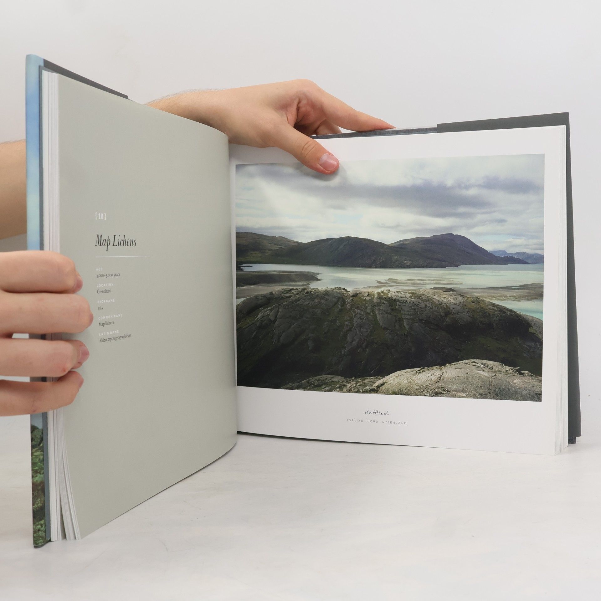 Rachel A. Sussman The Oldest Living Things in the World