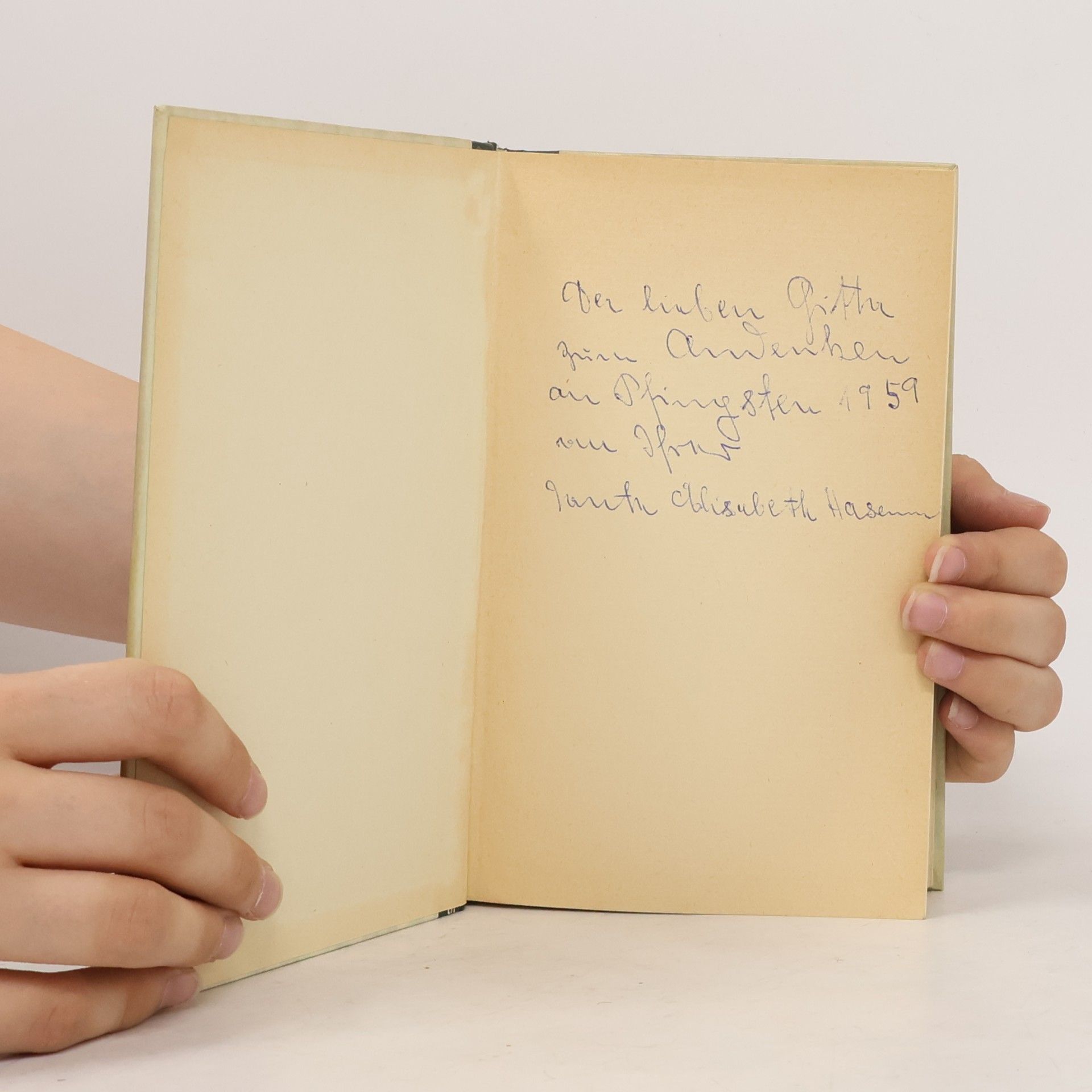 Theodor Storm Menschen hinter Deich und Dünen