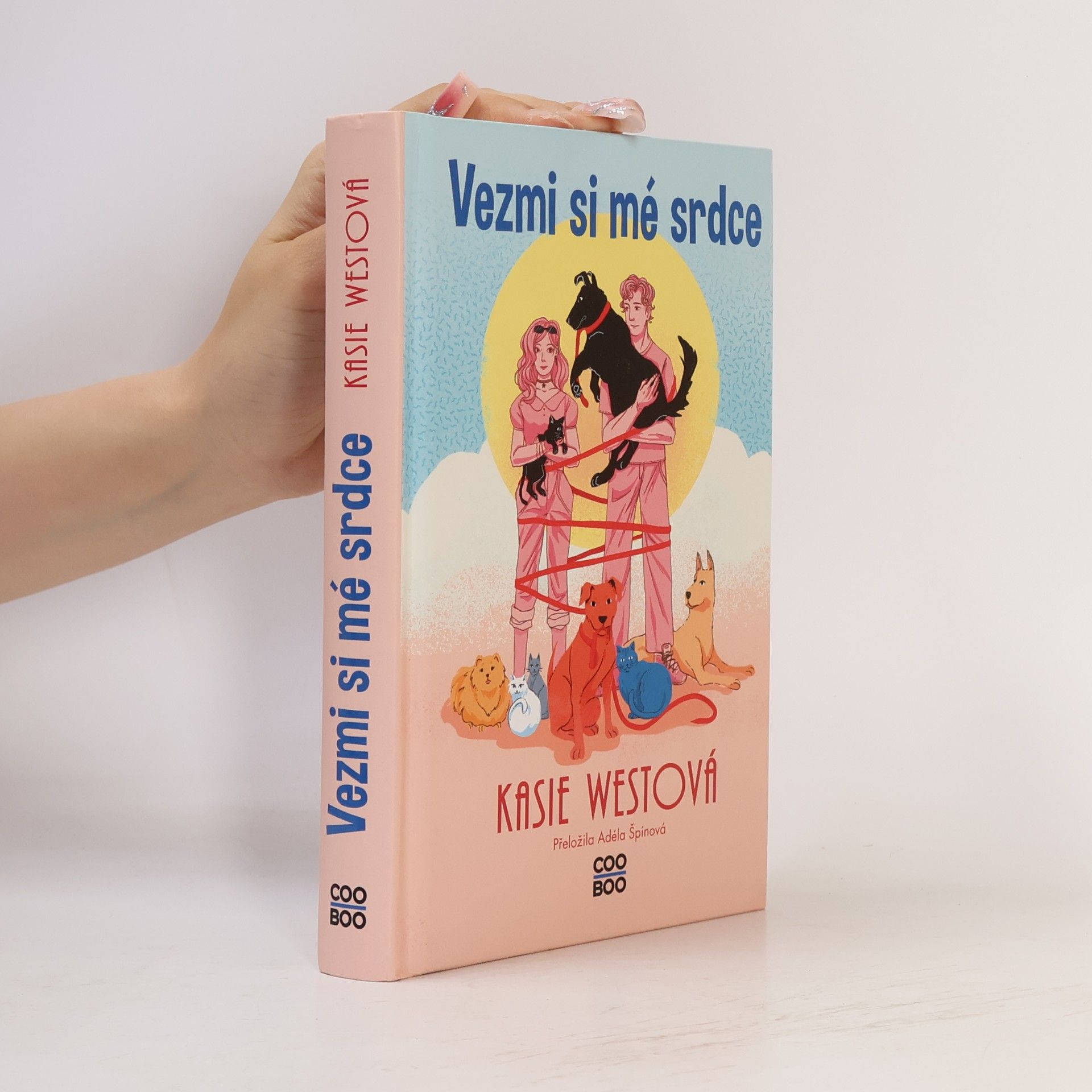 Kasie West Vezmi si mé srdce