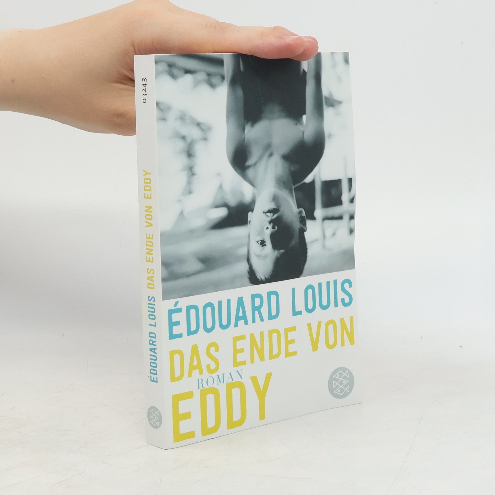 Édouard Louis Das Ende von Eddy
