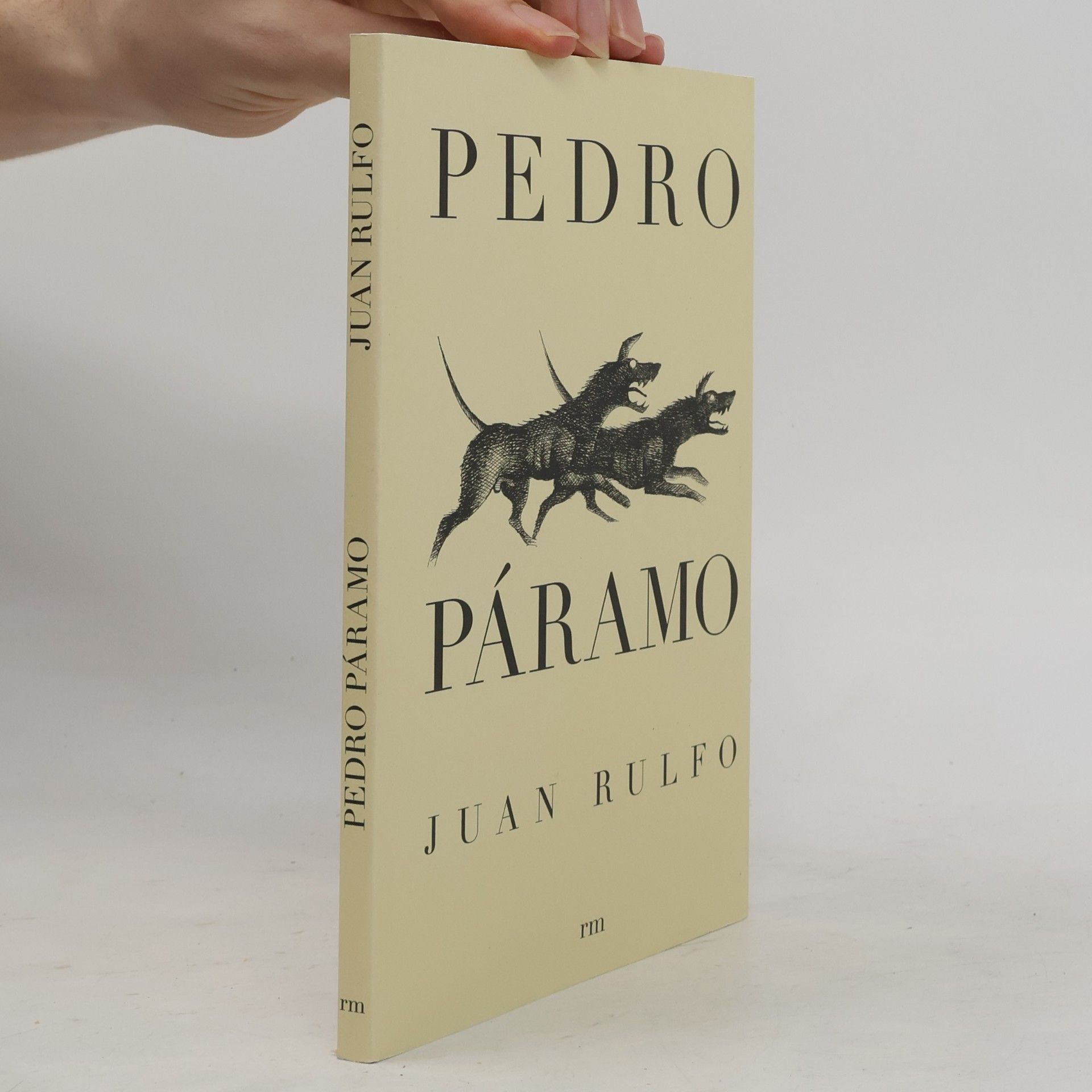 Juan Rulfo Pedro Páramo - Spanish edition