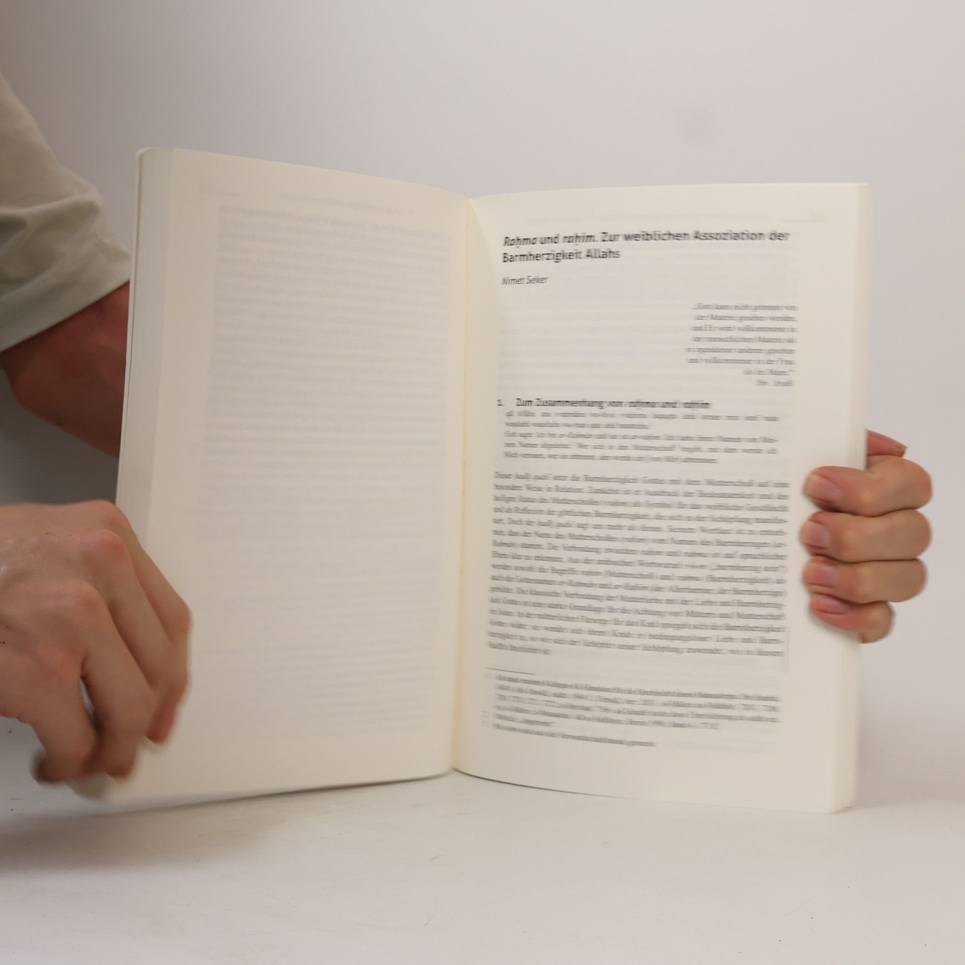 Muhannad Churschid Schriftenreihe Graduiertenkolleg Islamische Theologie - 1: Theologie der Barmherzigkeit?