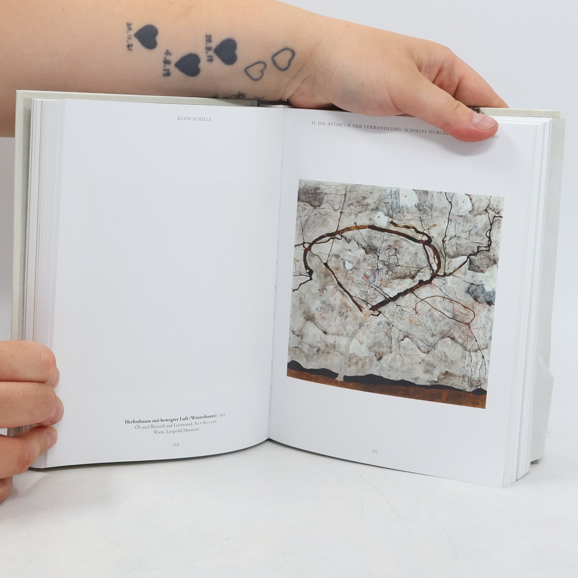 Autores varios Egon Schiele. Sämtliche Gemälde 1909-1918 - 40th Anniversary Edition