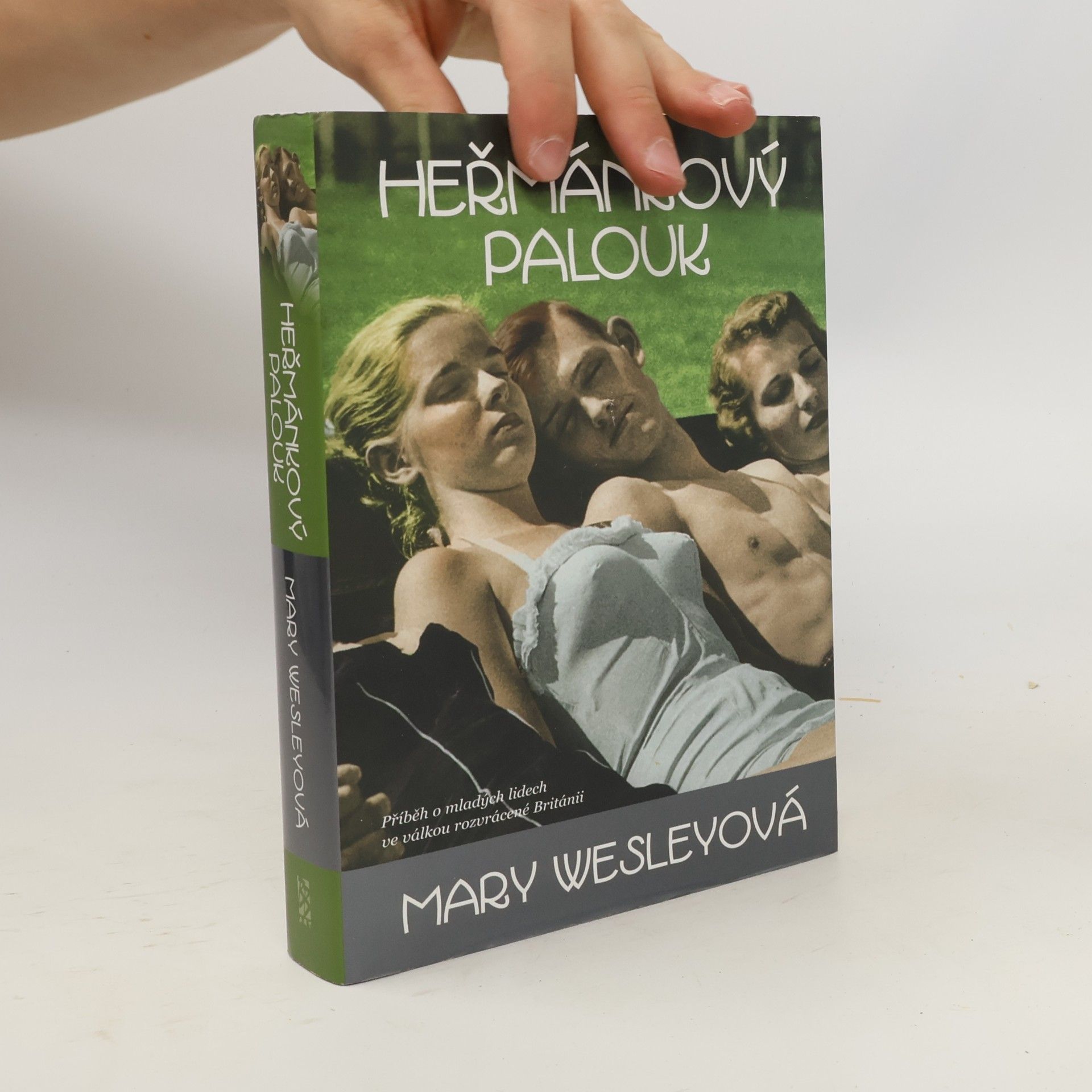 Mary Wesley Heřmánkový palouk