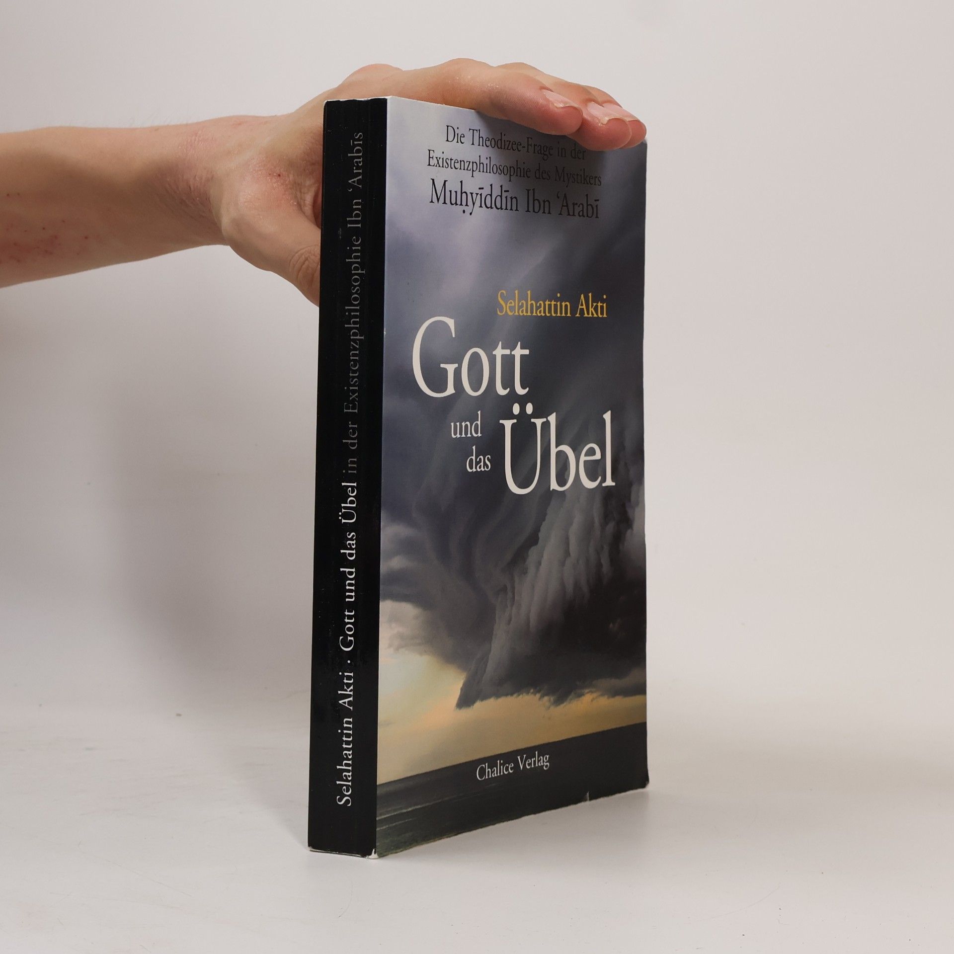 Selahattin Akti Gott und das Übel
