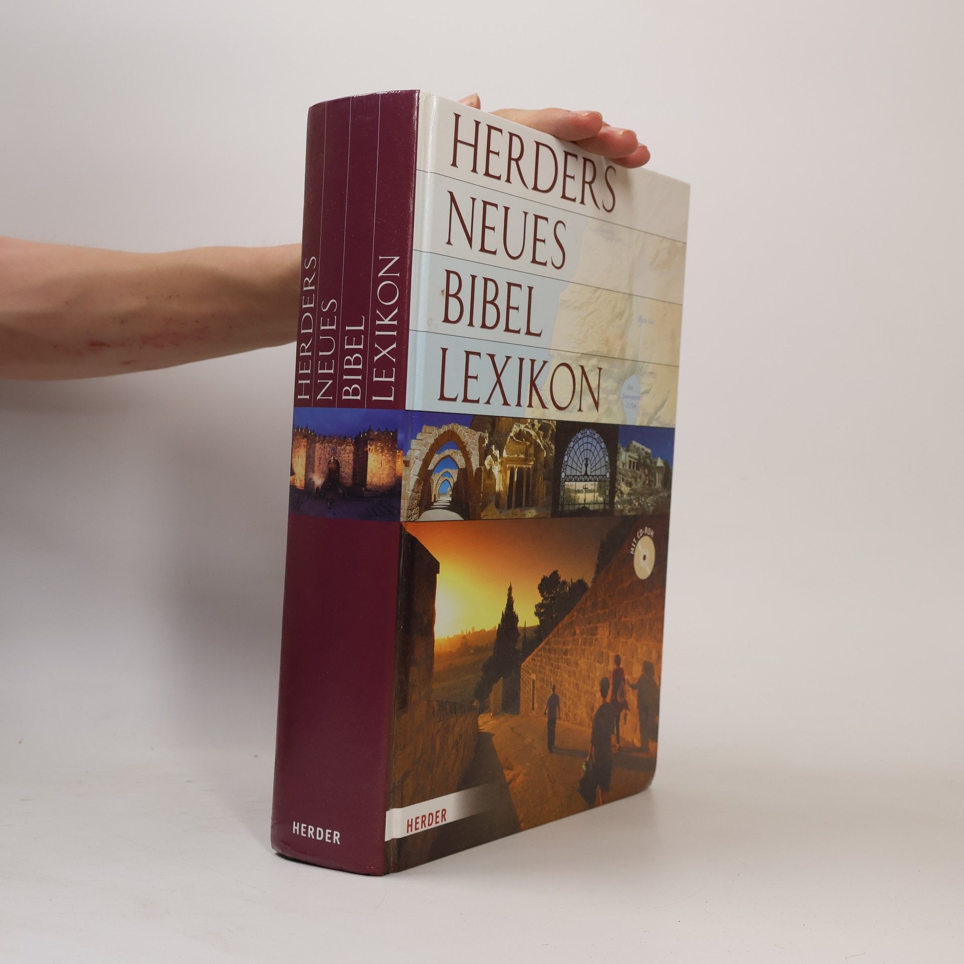Franz Kogler Herders neues Bibellexikon