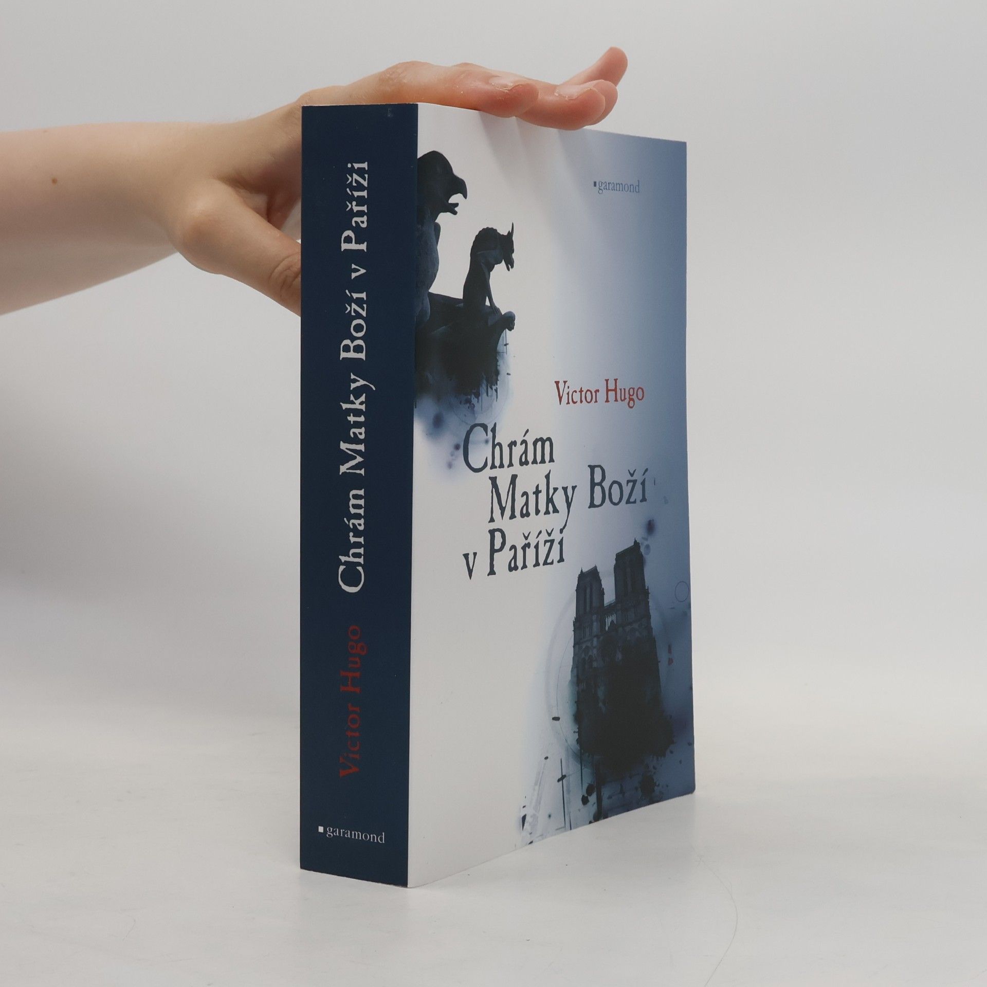 Victor Hugo Chrám Matky Boží v Paříži