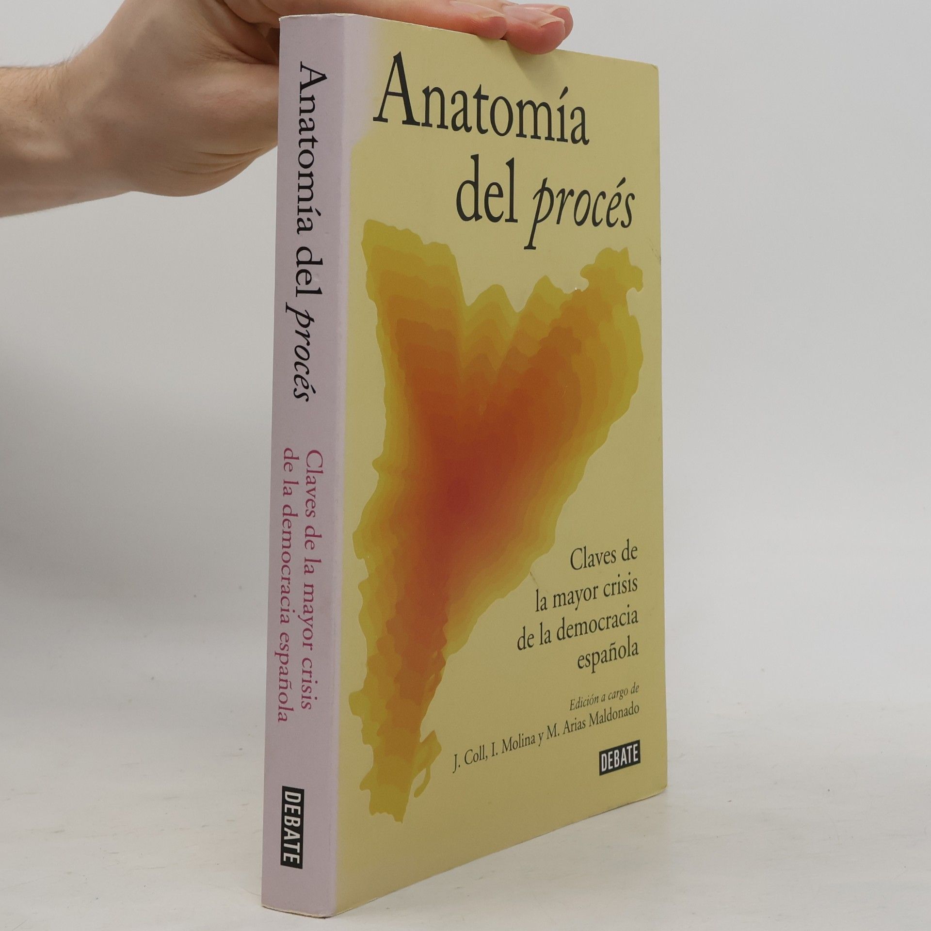Collectif d'auteurs Anatomía del procés. Claves de la mayor crisis de la democracia española