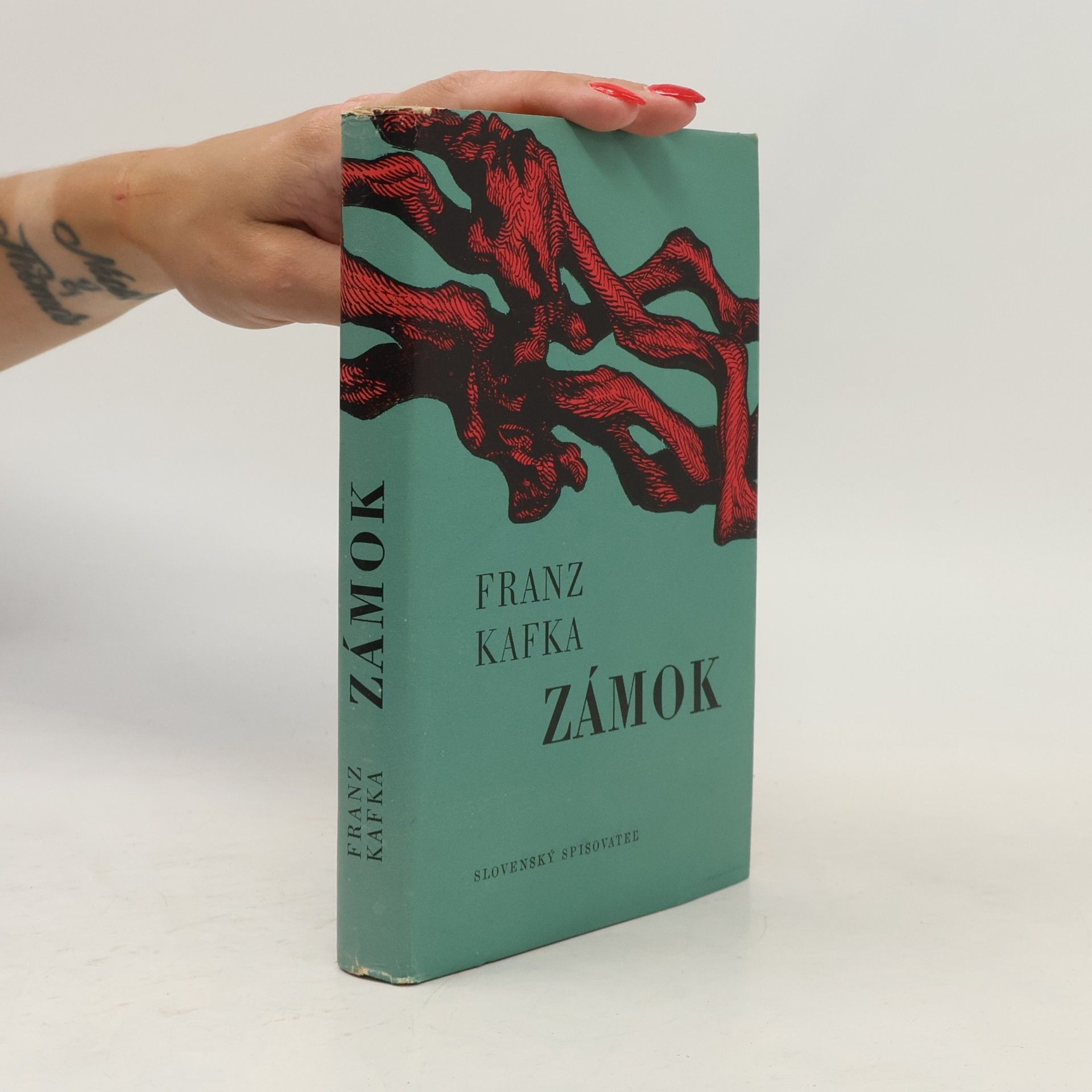 Franz Kafka Zámok