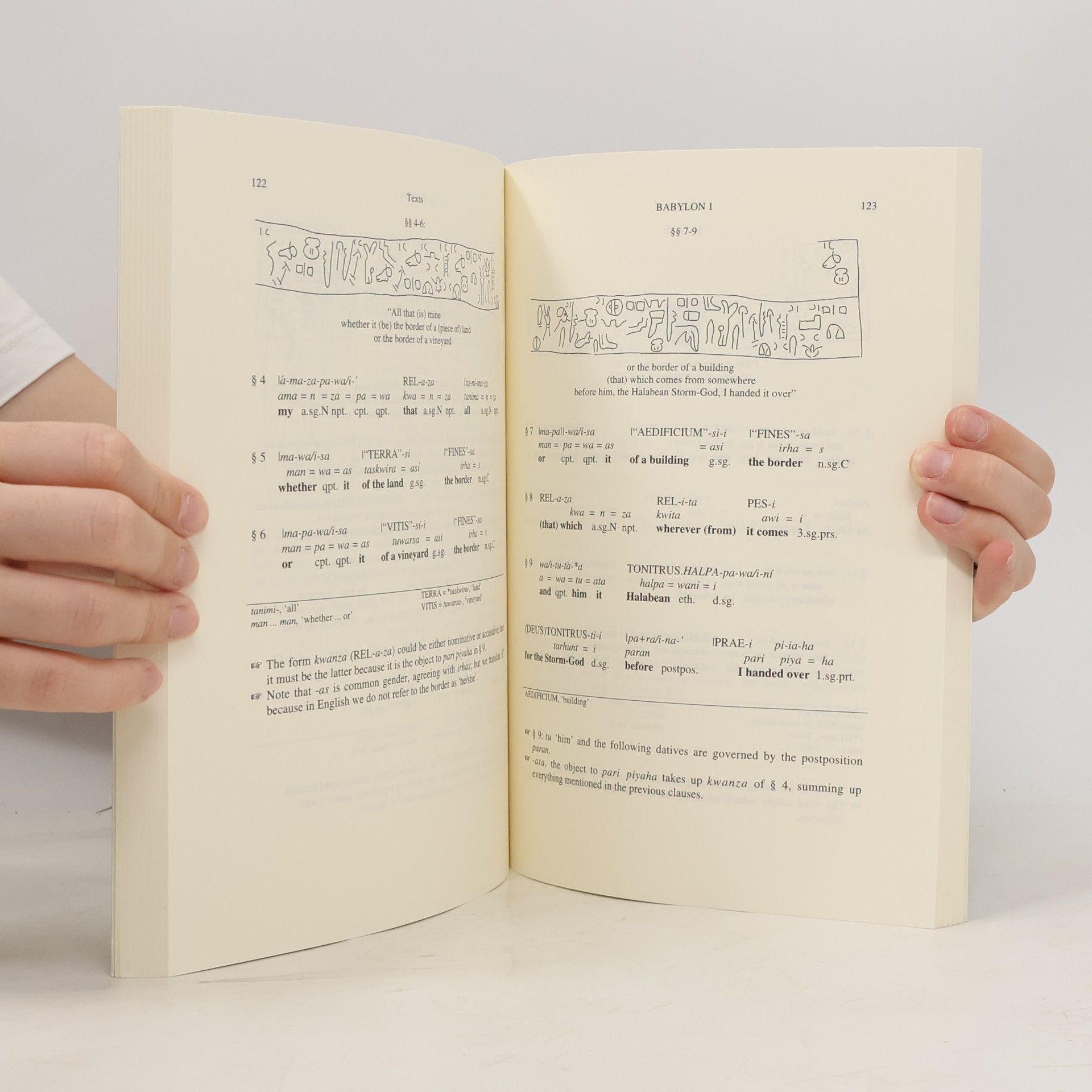 Annick Payne Hieroglyphic Luwian