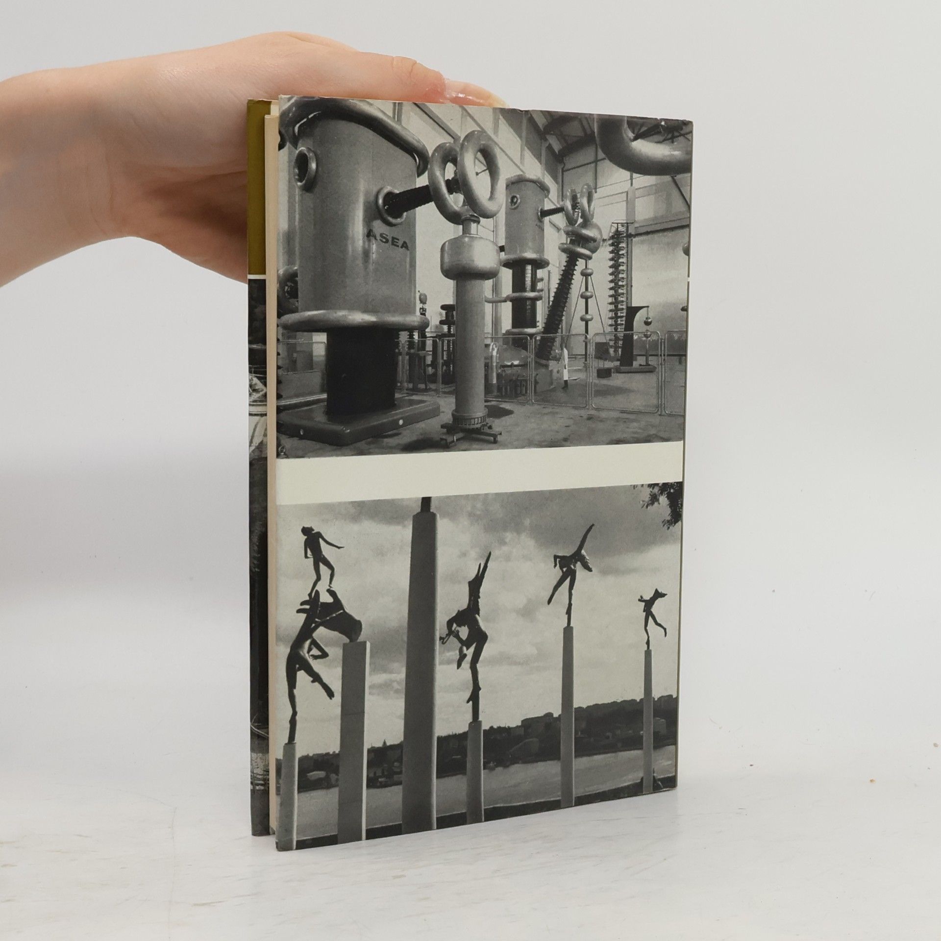 Paul Britten Austin The Swedes. How They Live and Work