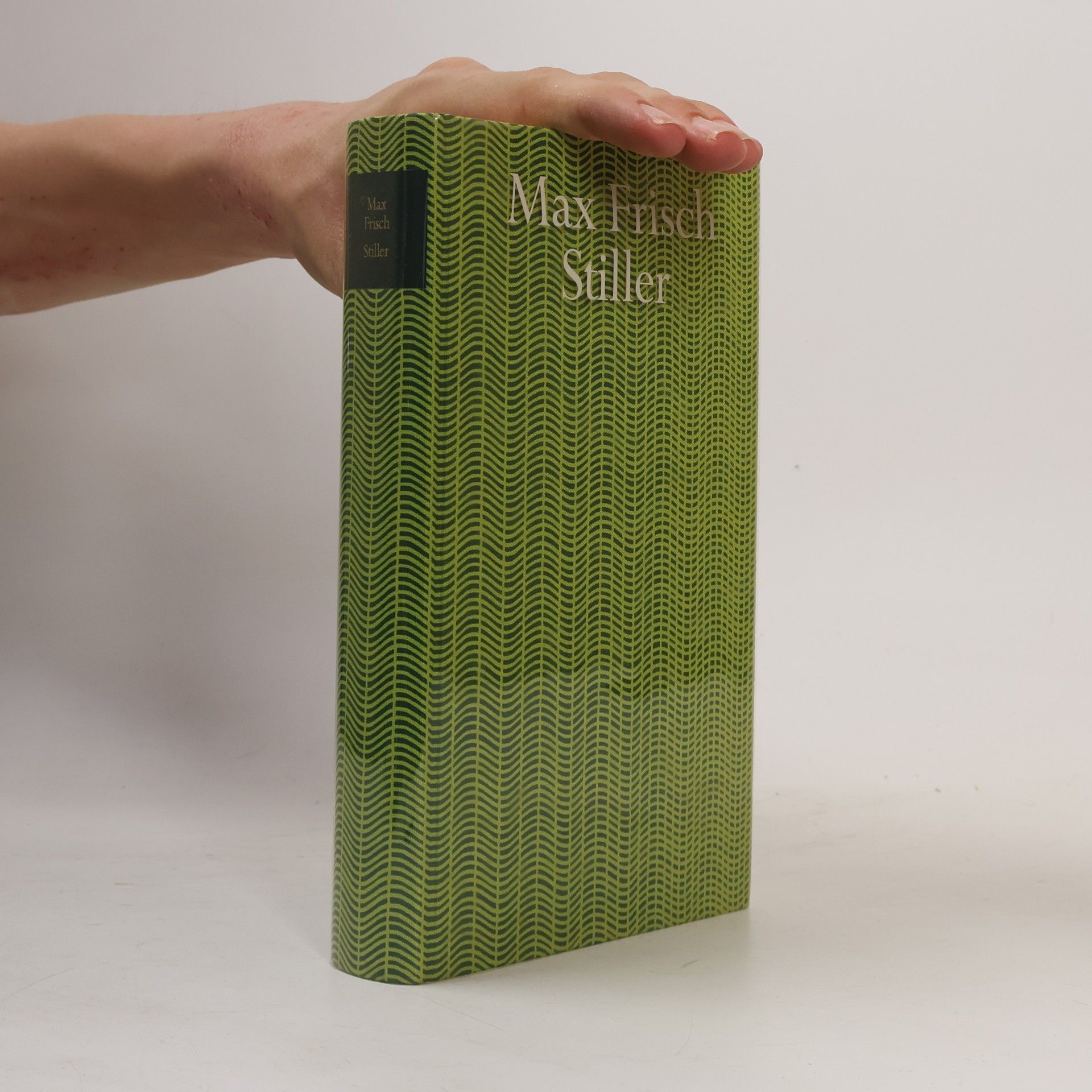 Max Frisch Stiller