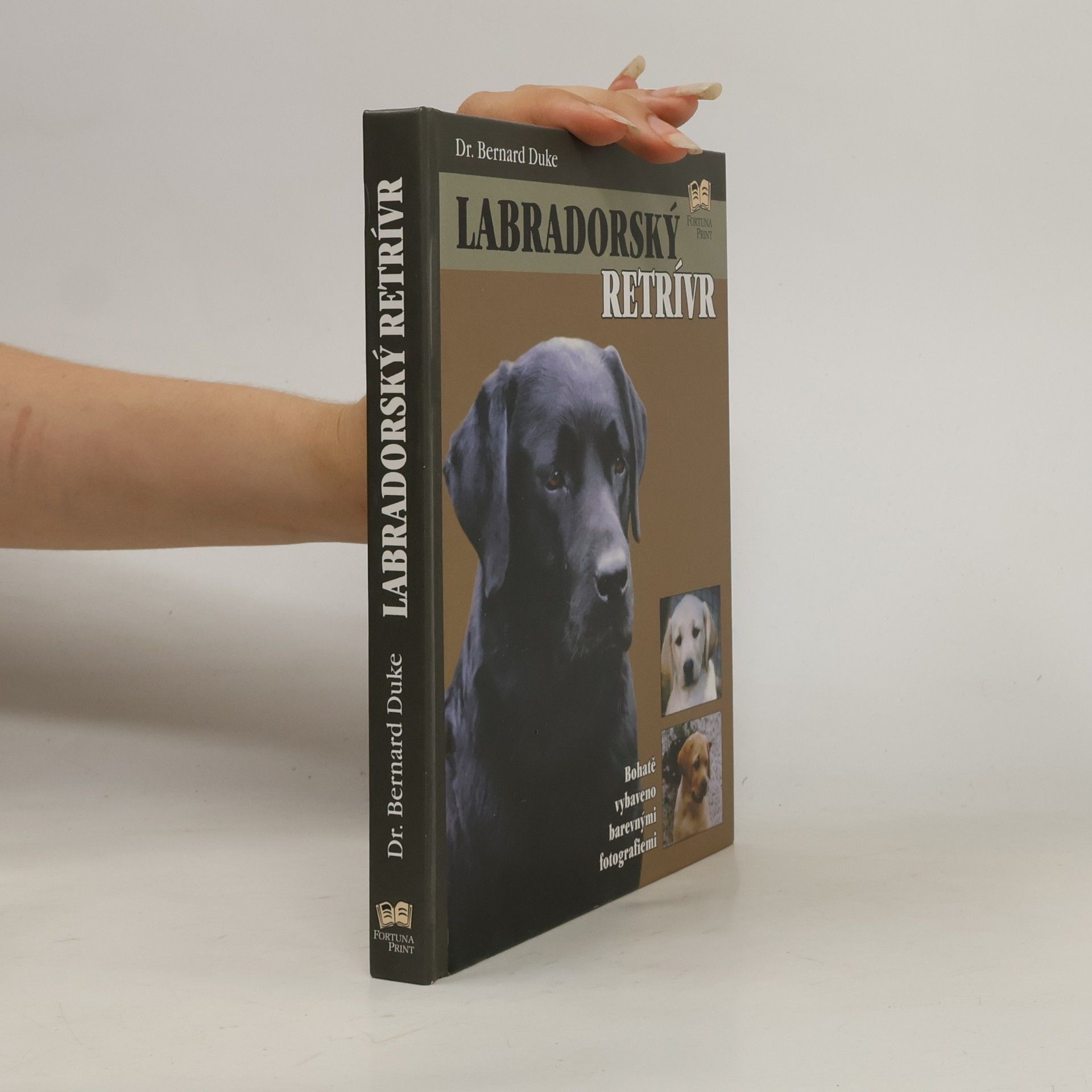 Bernard Duke Labradorský retrívr