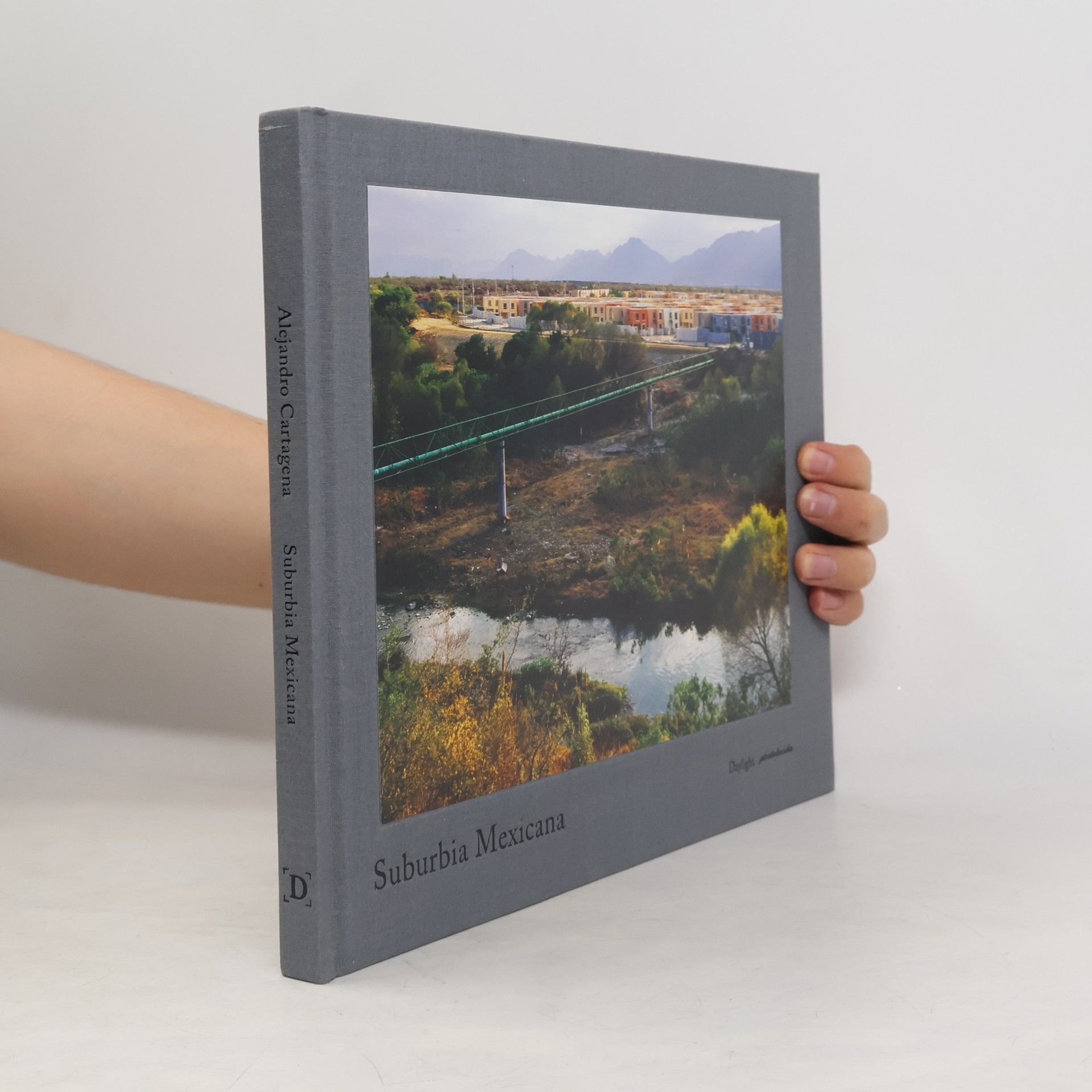 Karen Irvine Suburbia Mexicana