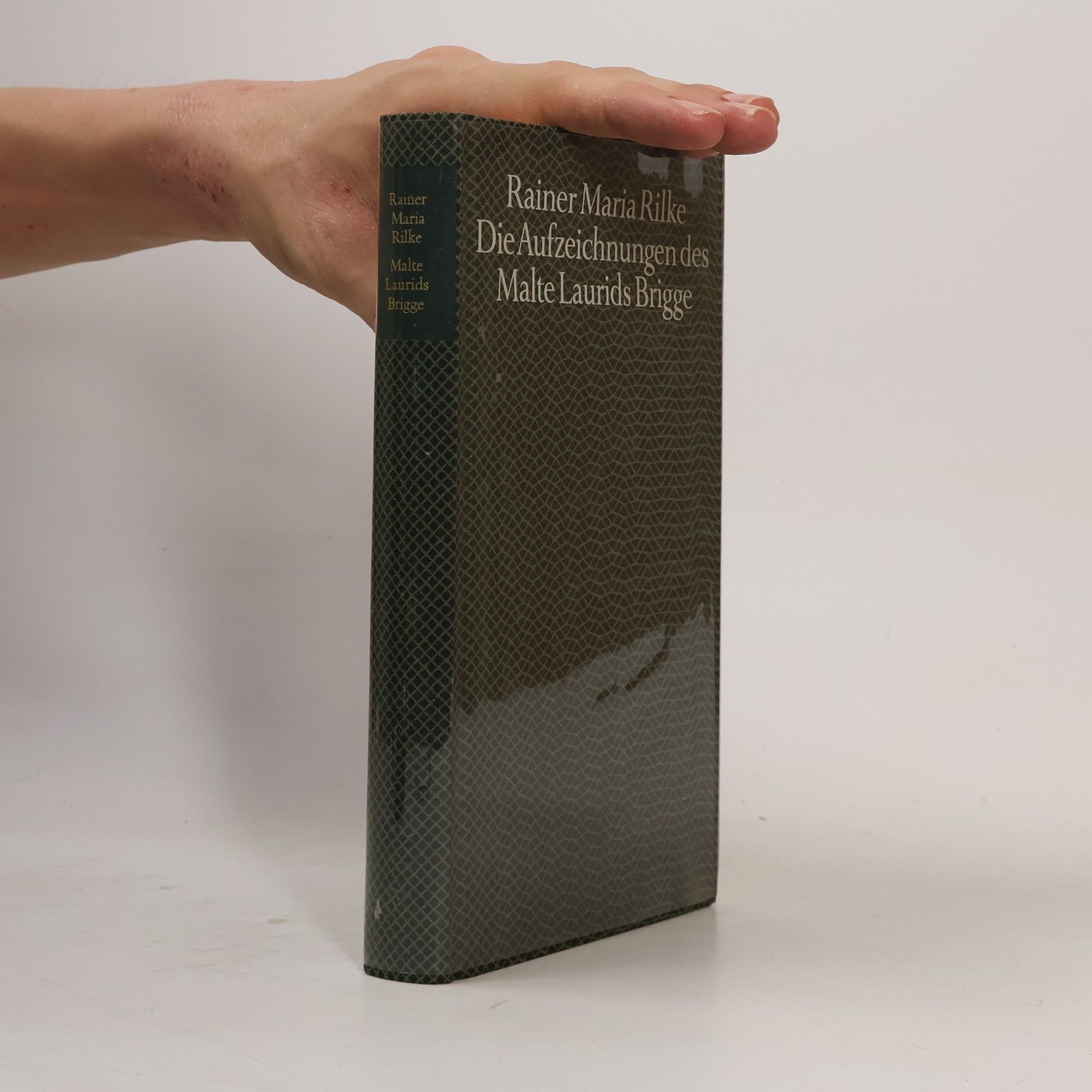Rainer Maria Rilke Die Aufzeichnungen des Malte Laurids Brigge