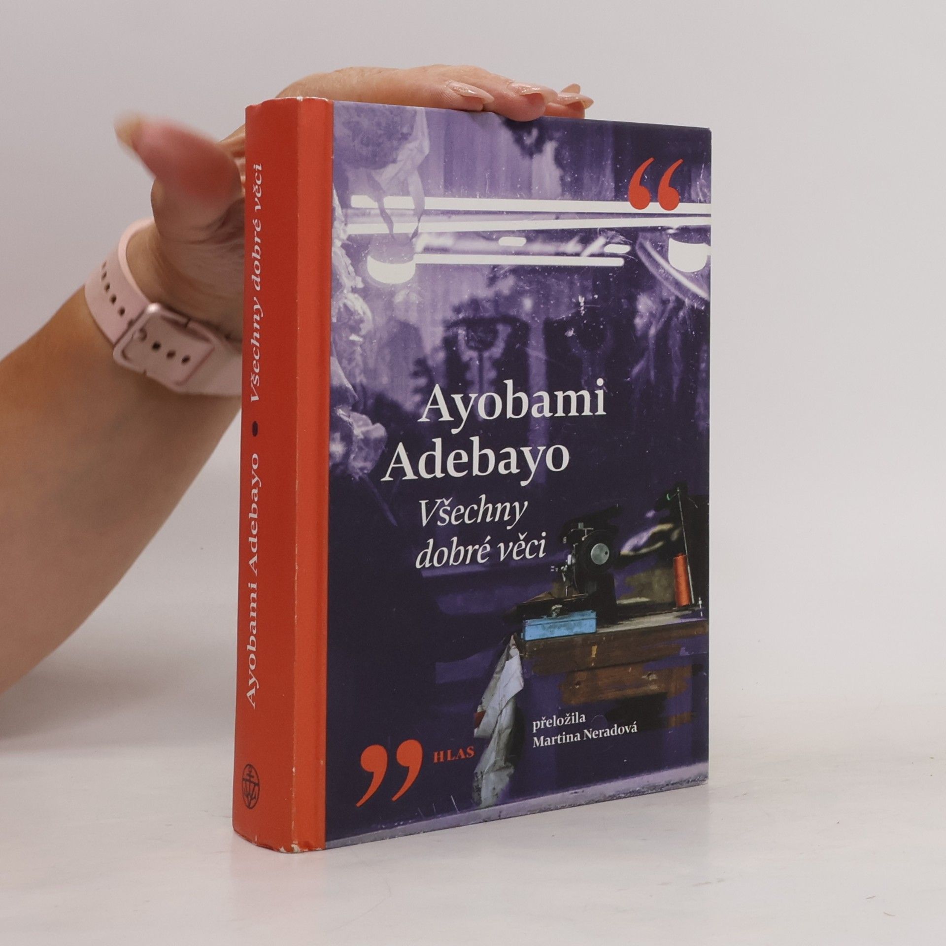 Ayobami Adebayo Všechny dobré věci