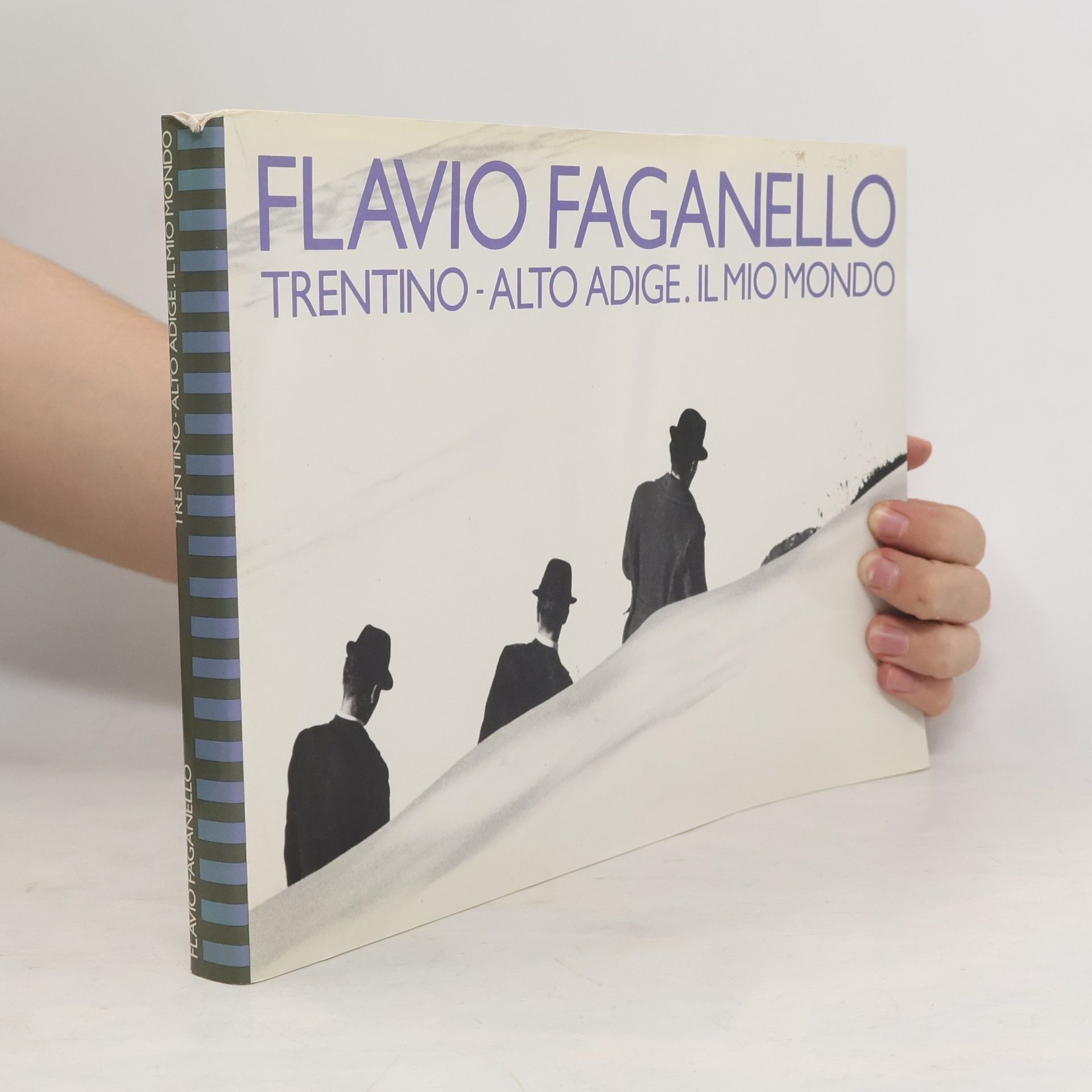 Flavio Faganello Flavio Faganello. Trentino-Alto Adige. Il mio mondo