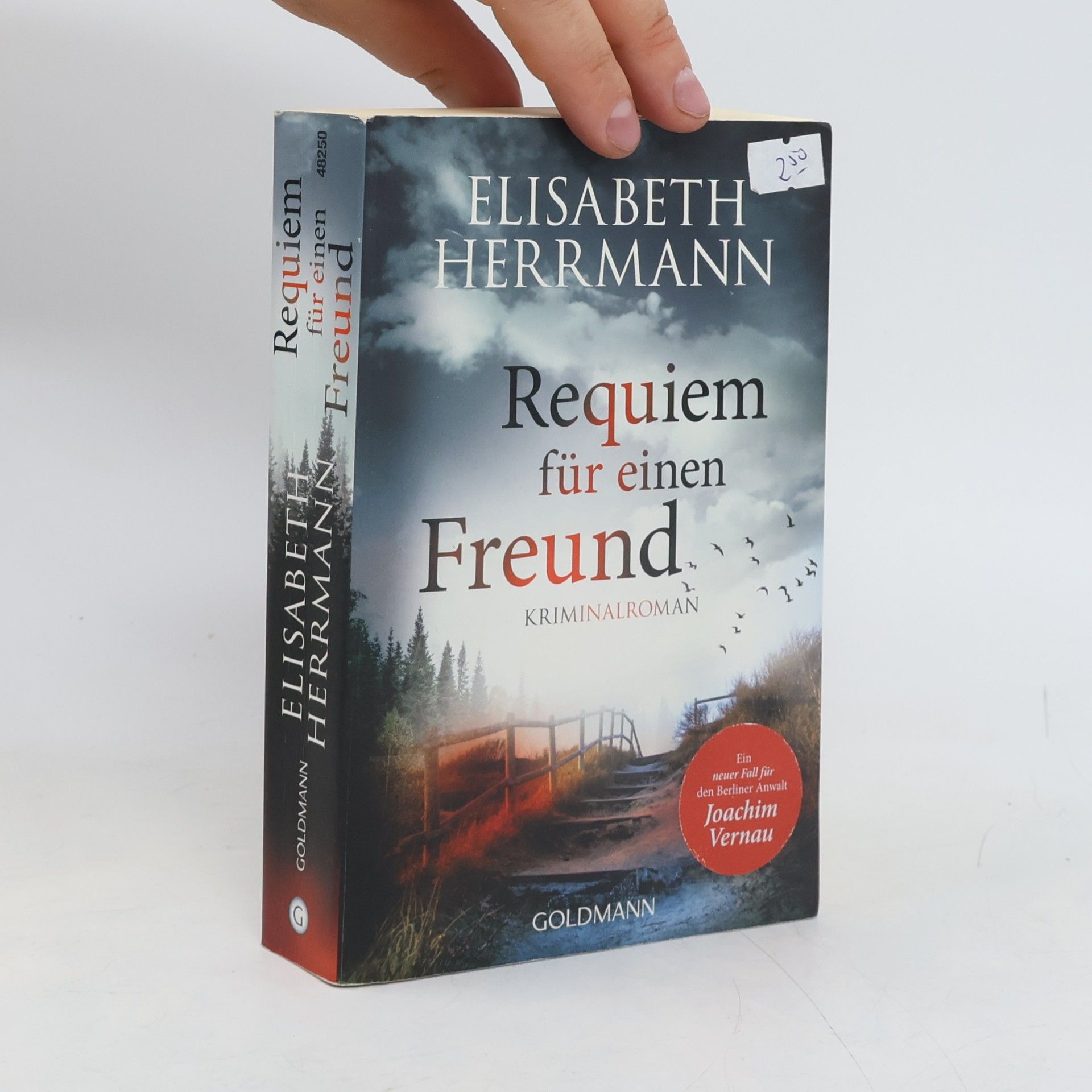 Elisabeth Hermann Requiem für einen Freund
