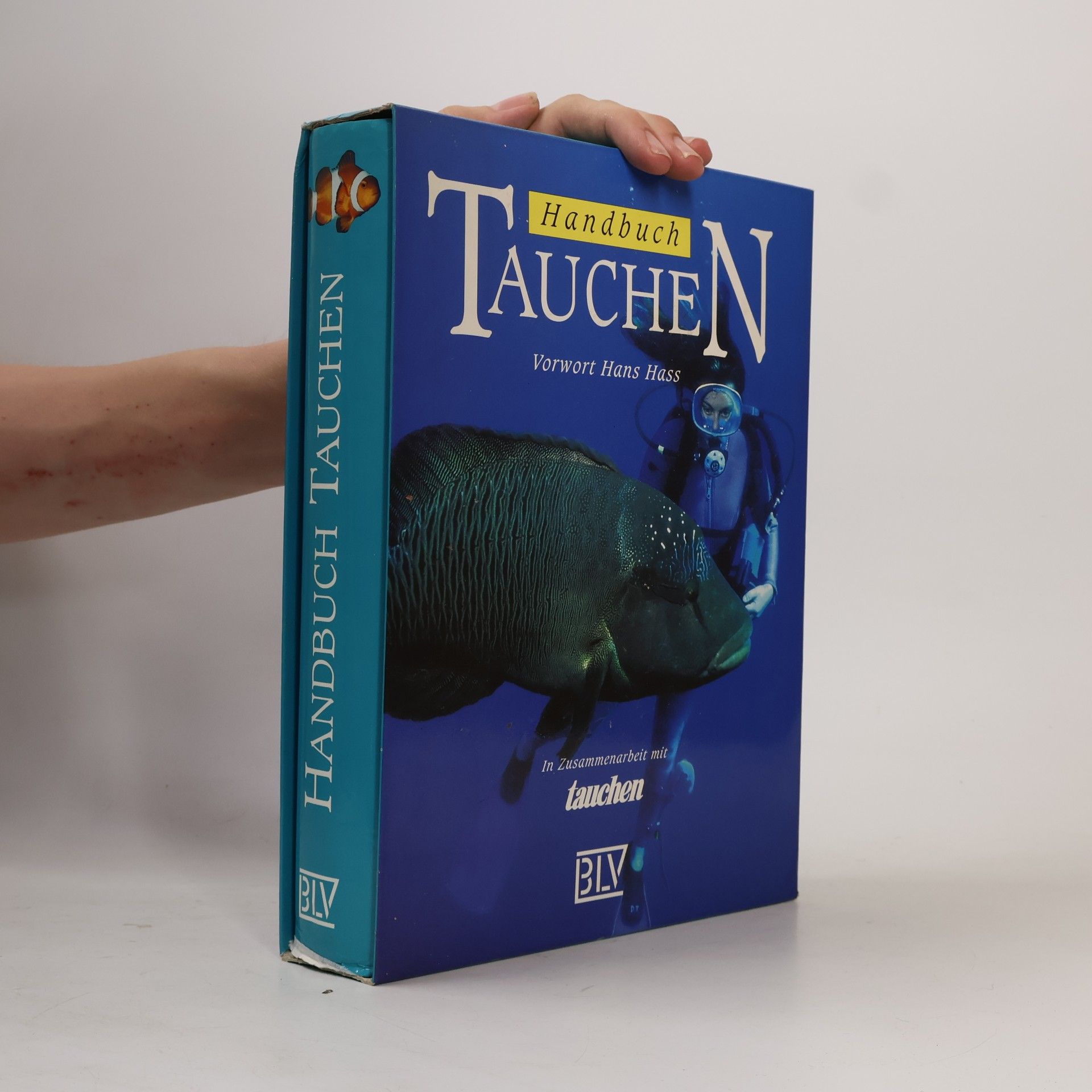 Enrico Ciabatti Handbuch Tauchen