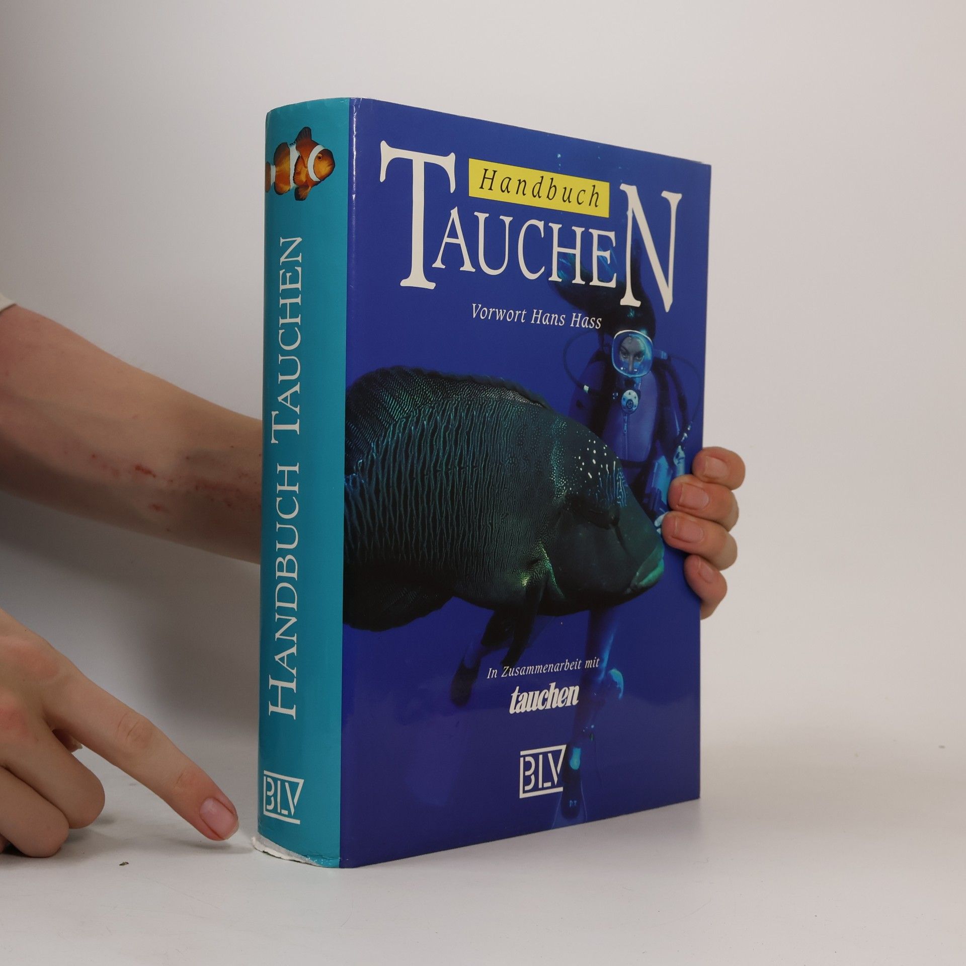 Enrico Ciabatti Handbuch Tauchen