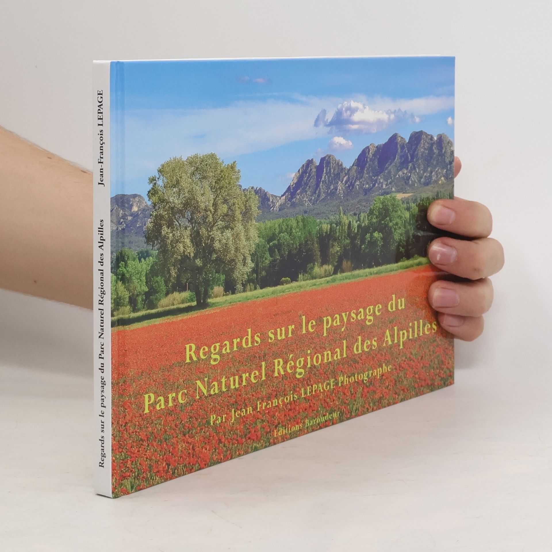 Regard sur le paysage du Parc Naturel Régional des Alpilles