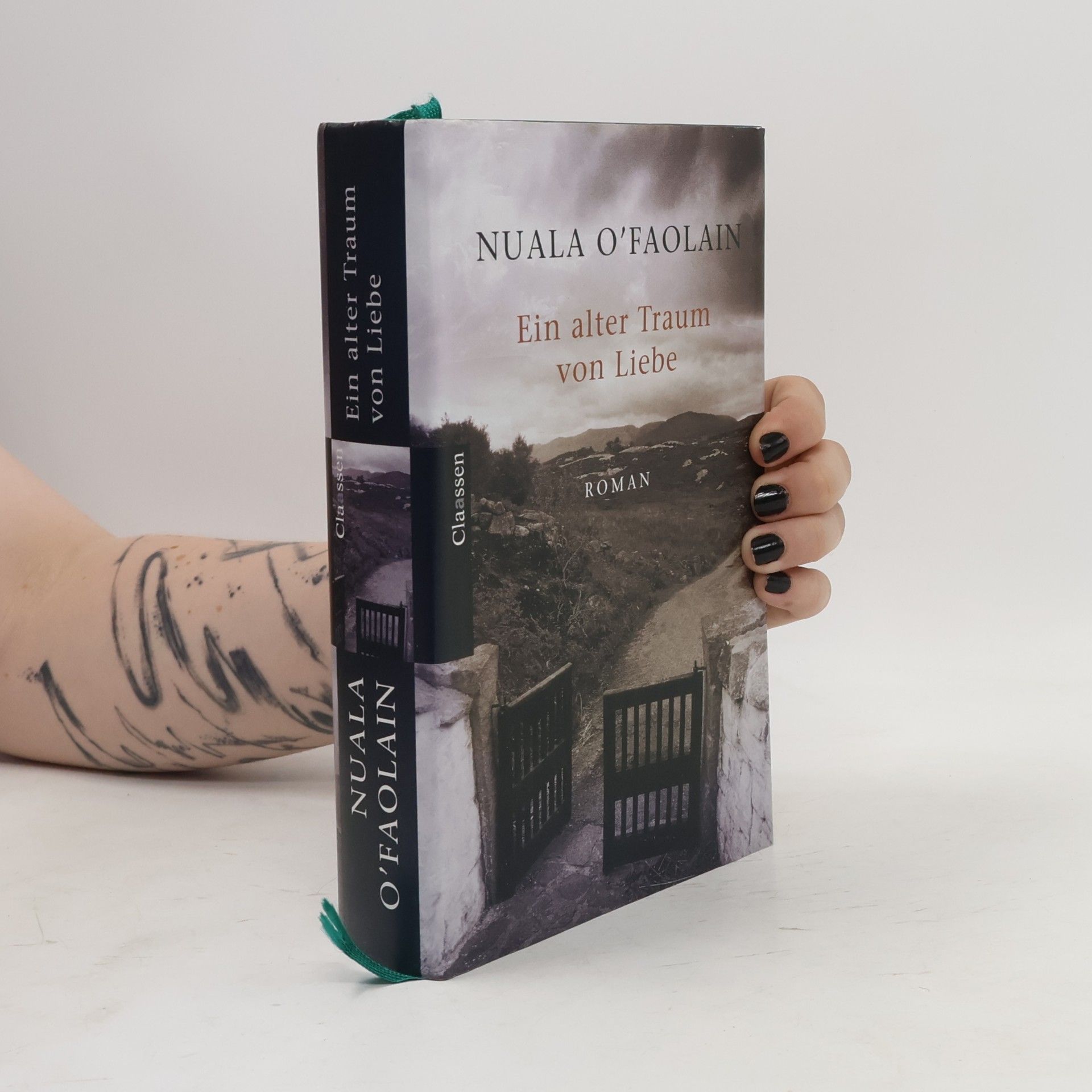 Nuala O. Faolain Ein alter Traum von Liebe