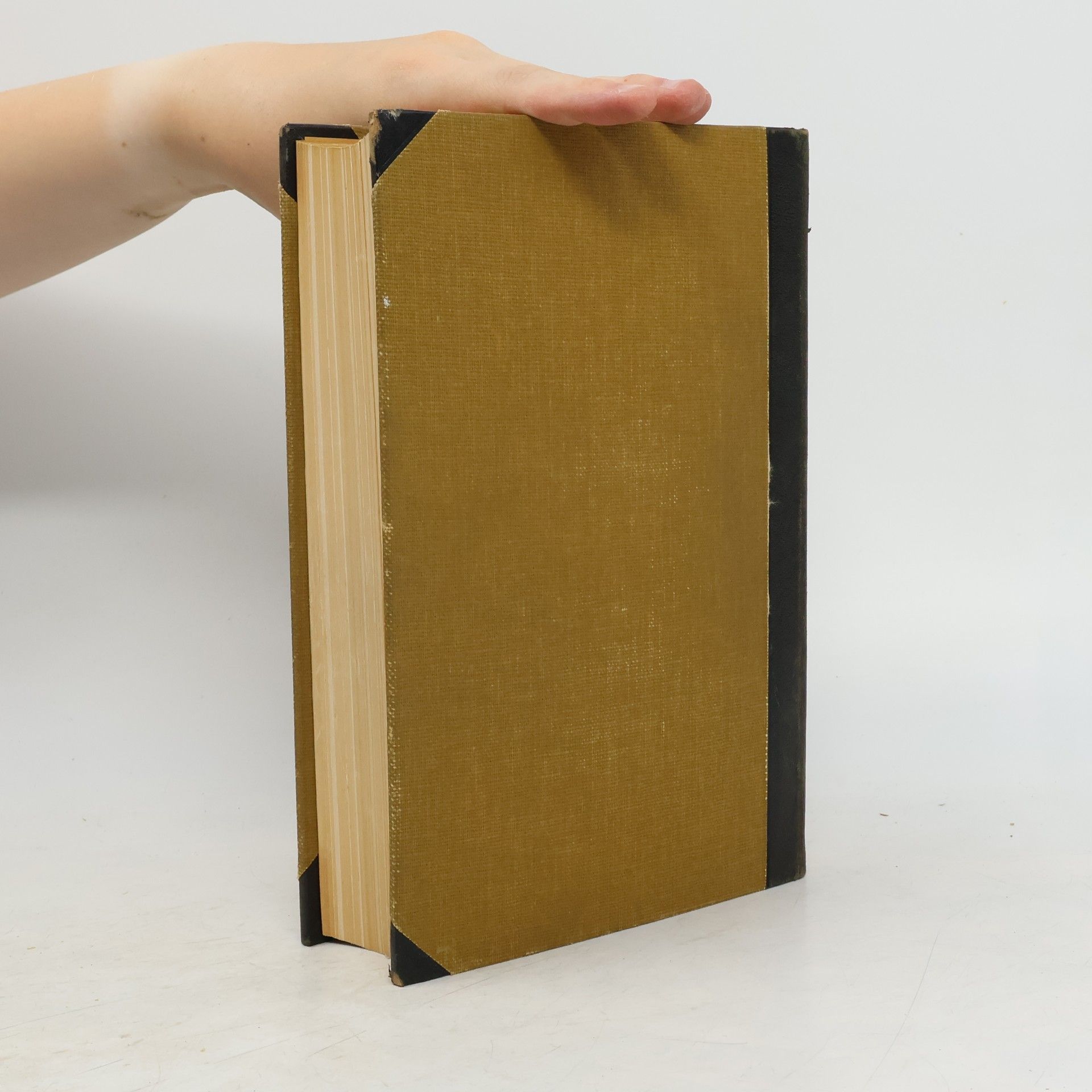 Autorenkollektiv Meyers Lexikon 3. Conti bis Engmäuler