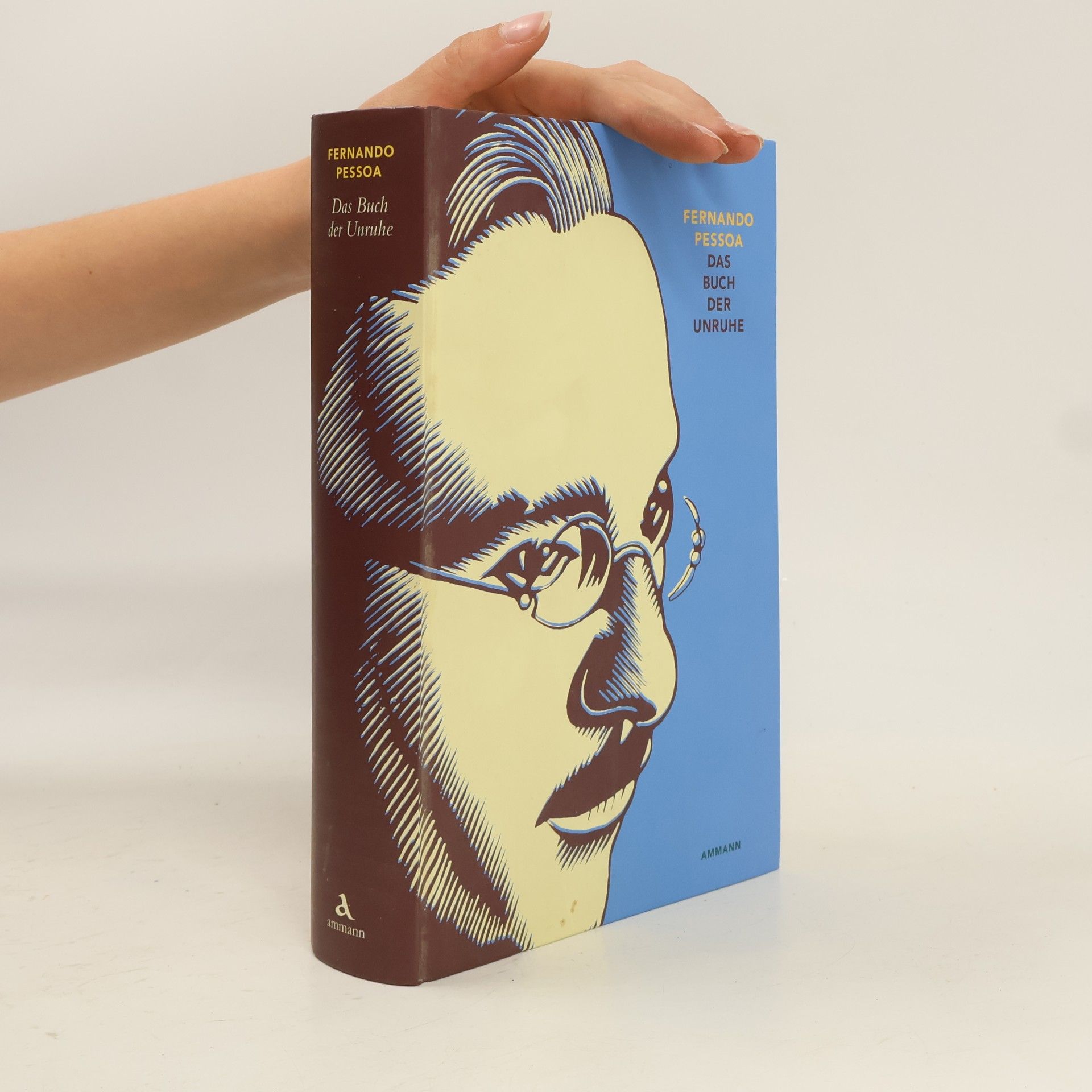 Fernando Pessoa Das Buch der Unruhe des Hilfsbuchhalters Bernardo Soares