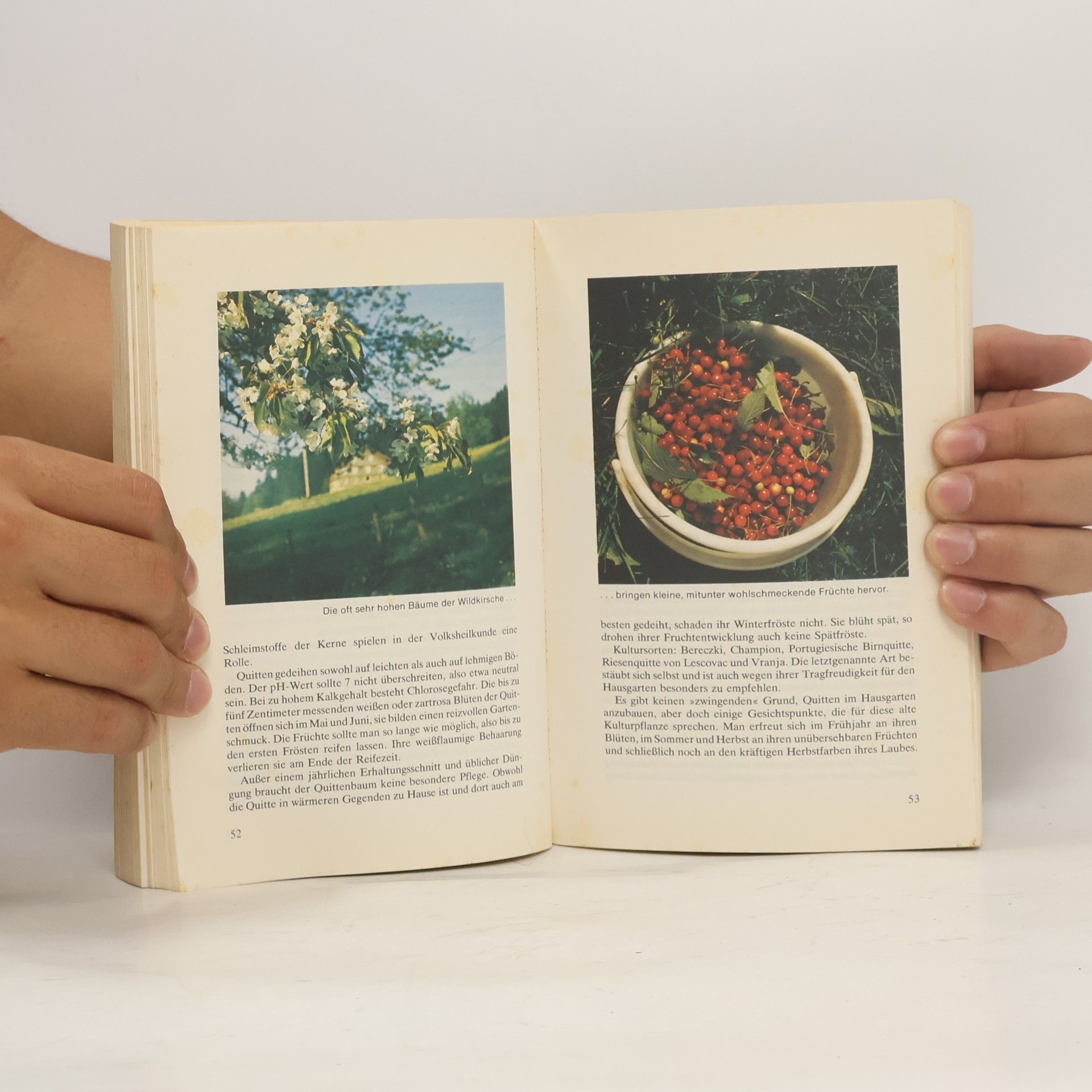 Gunter Steinbach Das grosse biologische Gartenbuch