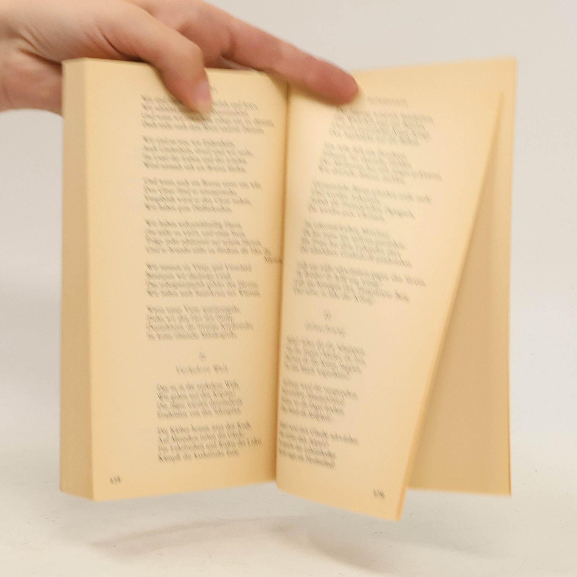 Heinrich Heine Heine Werke 1