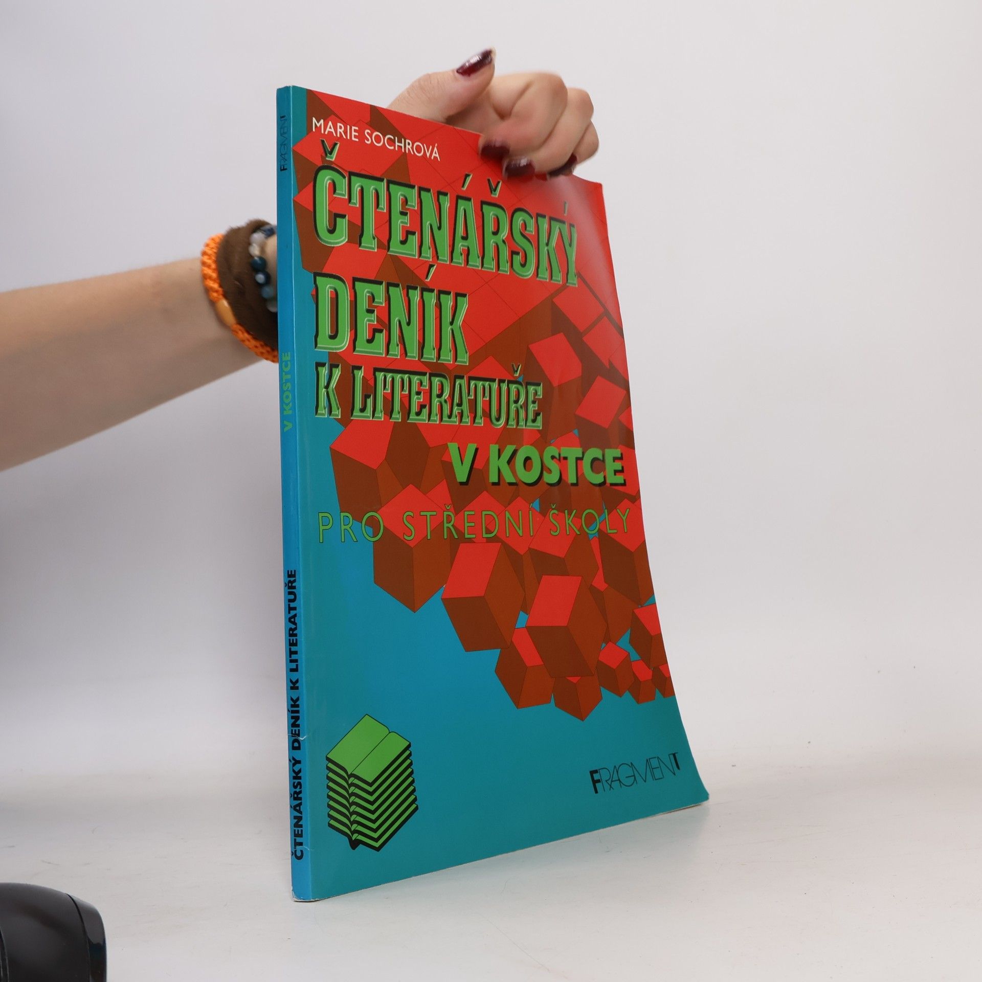 Marie Sochrová Čtenářský deník k Literatuře v kostce