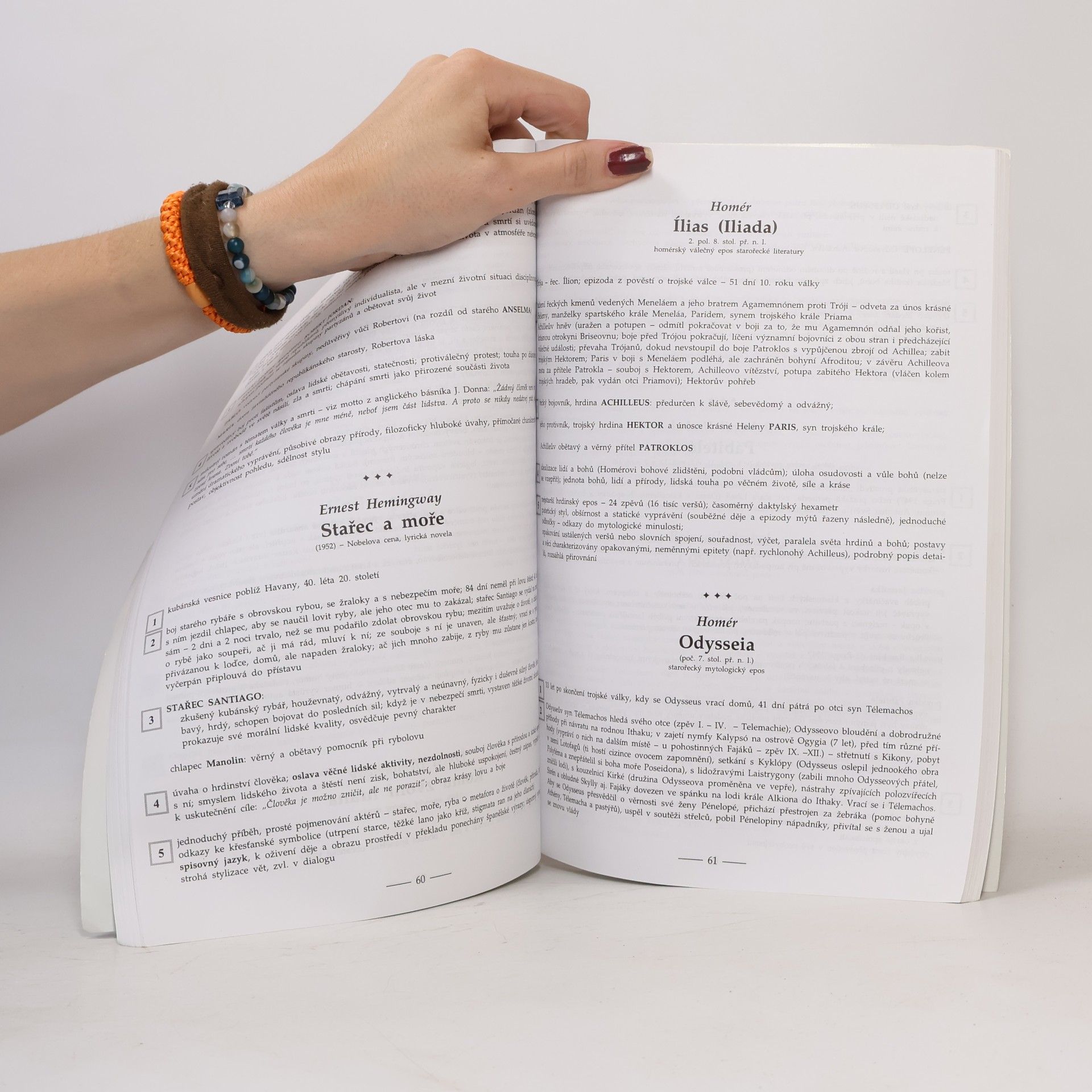 Marie Sochrová Čtenářský deník k Literatuře v kostce