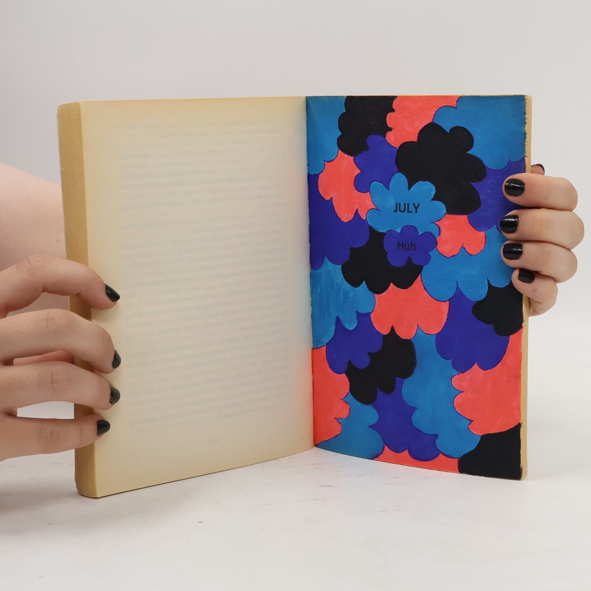 Helen Fielding Bridget Jones's diary