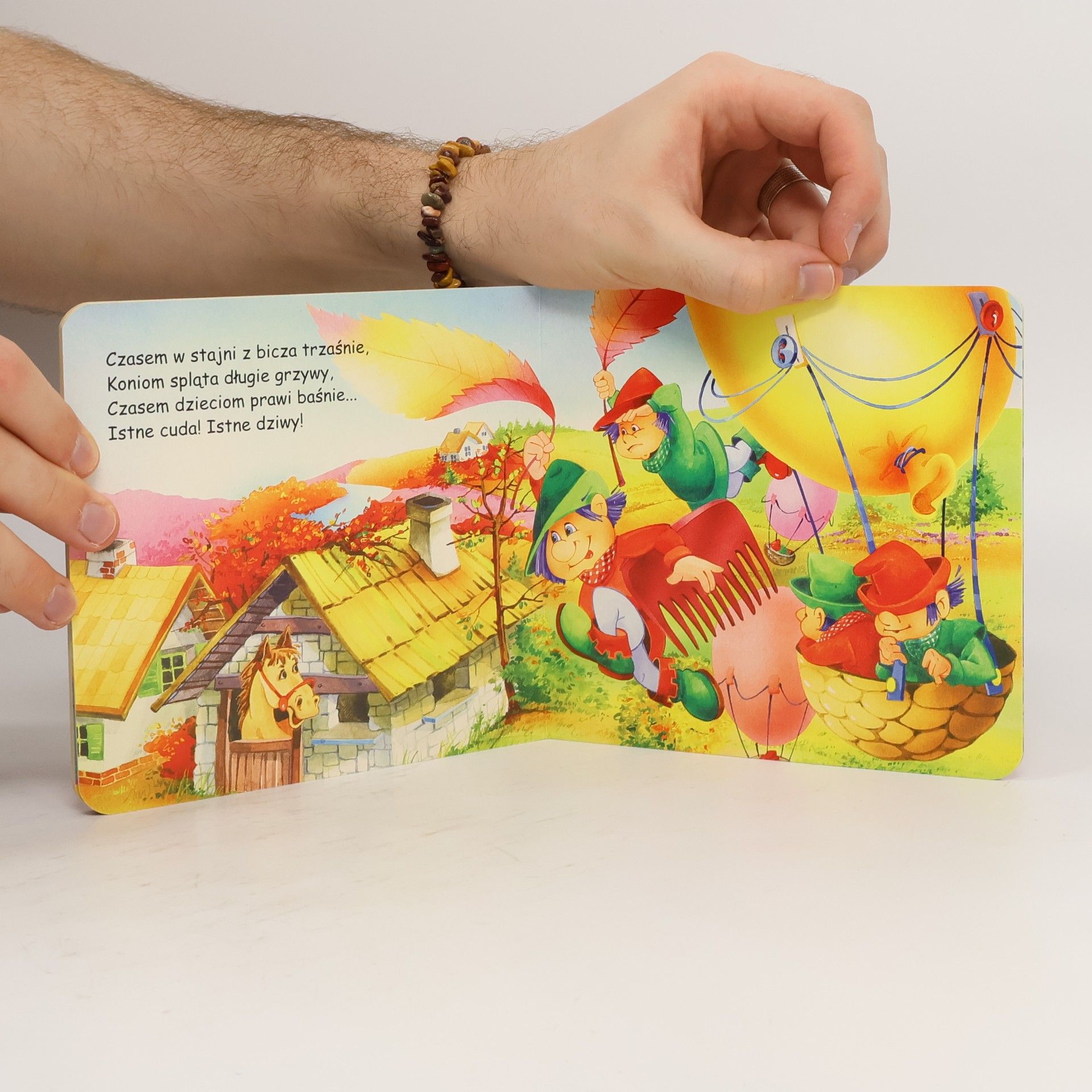 Maria Konopnicka Biblioteczka Niedźwiadka: Krasnoludki