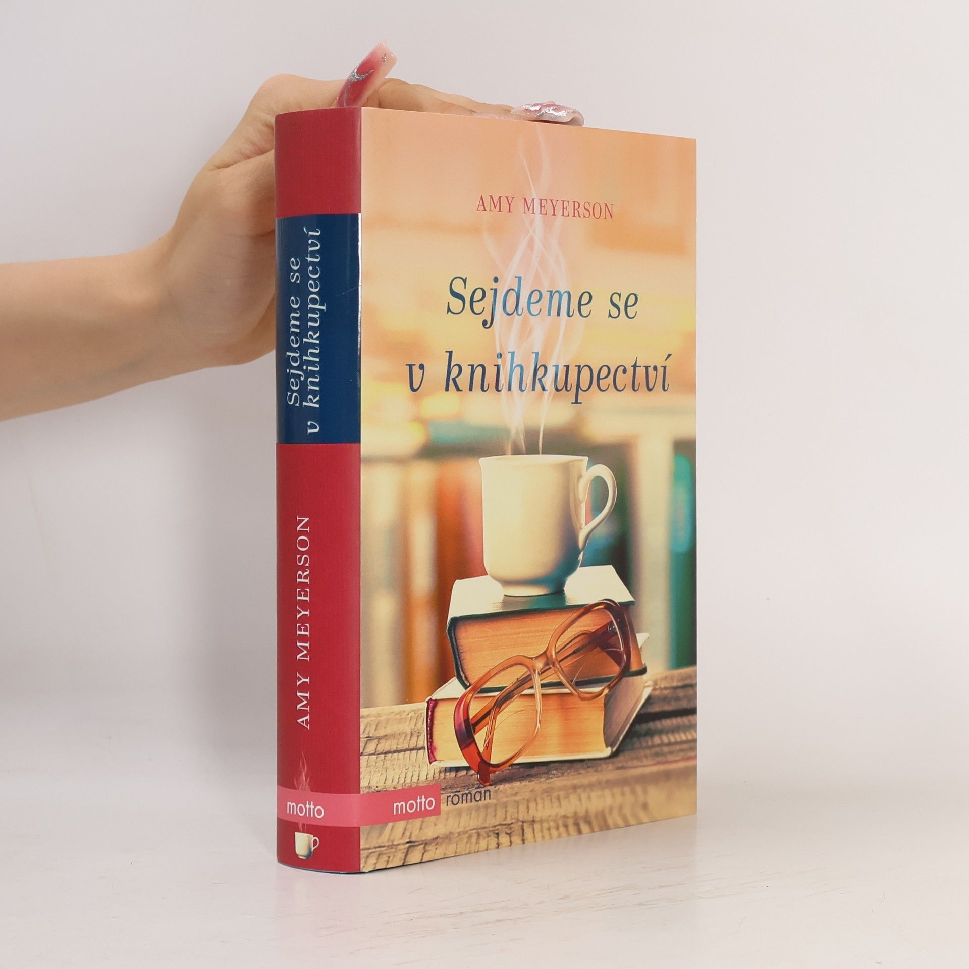 Amy Meyerson Sejdeme se v knihkupectví