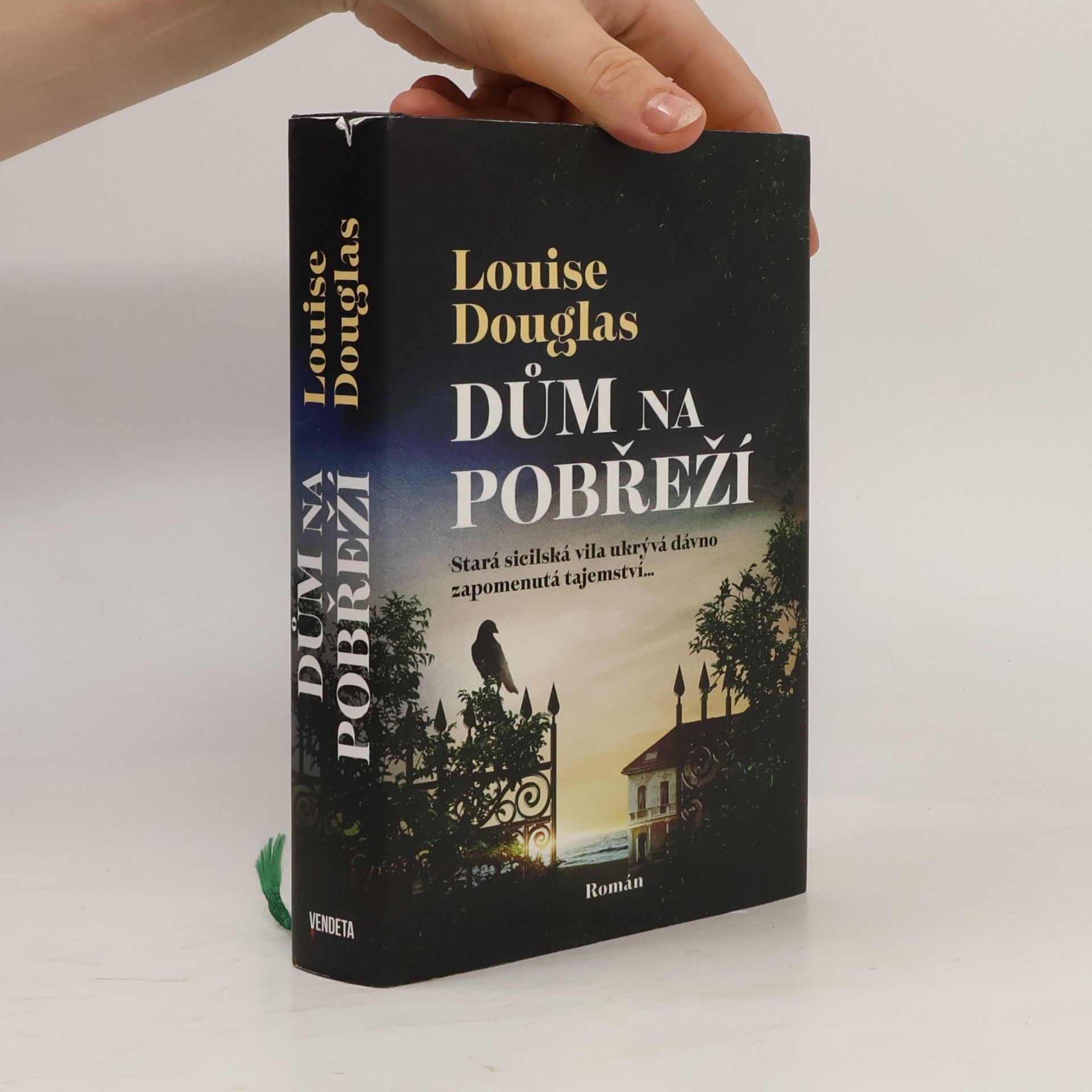 Pavla Koós Dům na pobřeží