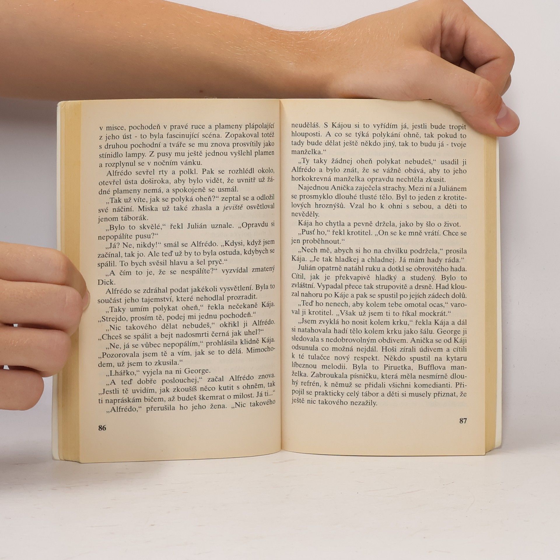 Enid Blyton Správná pětka. Pětka se má báječně