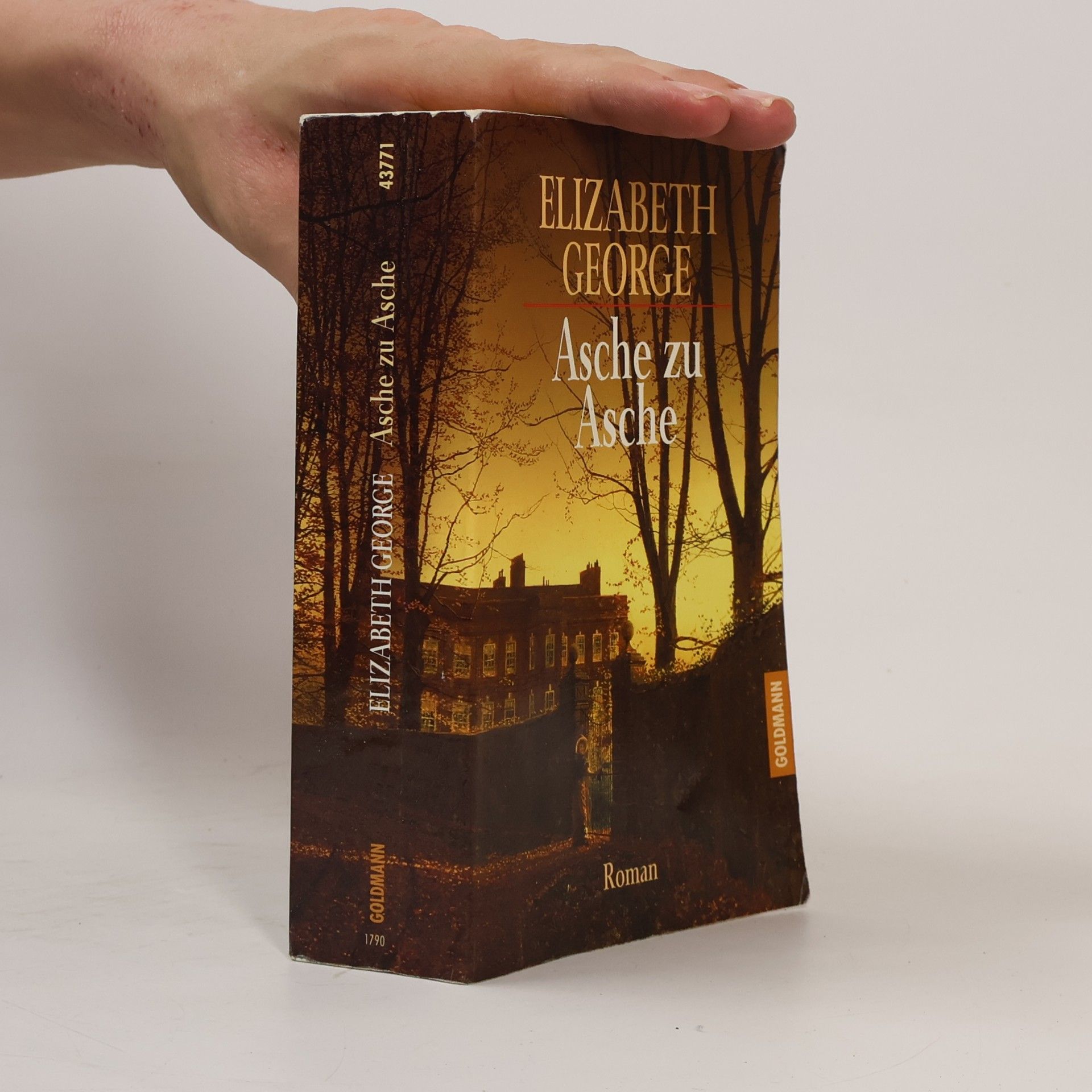Elizabeth George Asche zu Asche