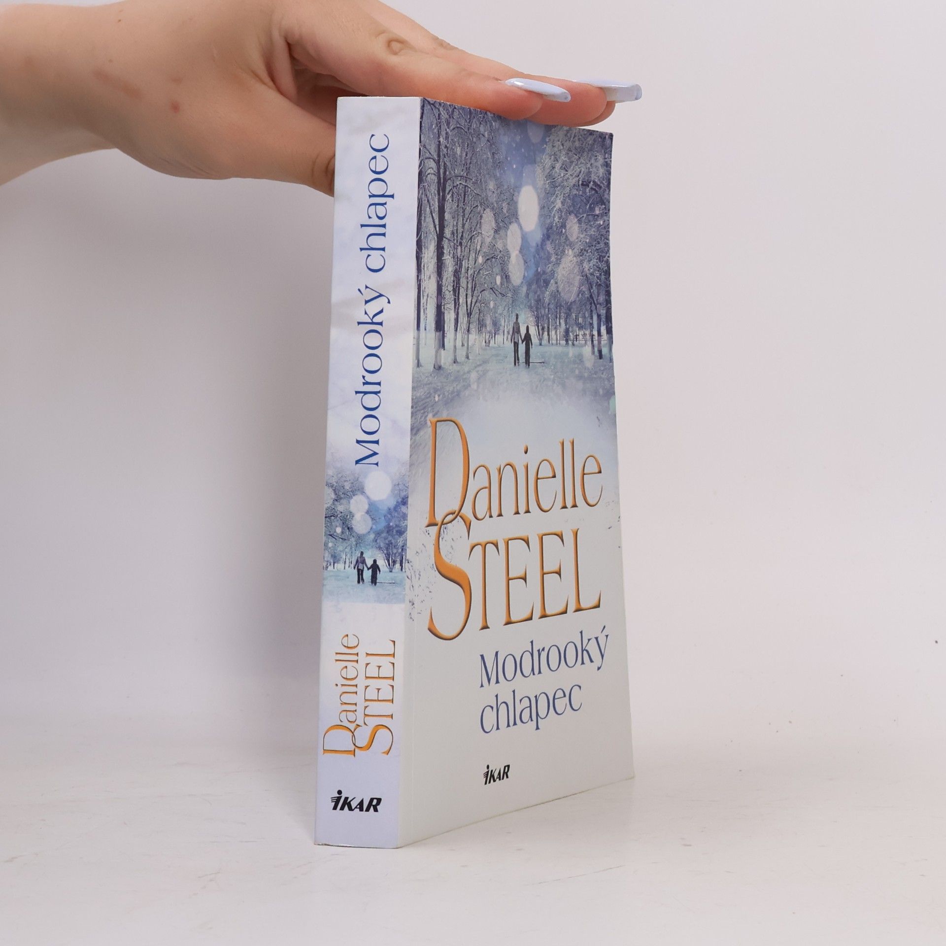 Danielle Steel Modrooký chlapec
