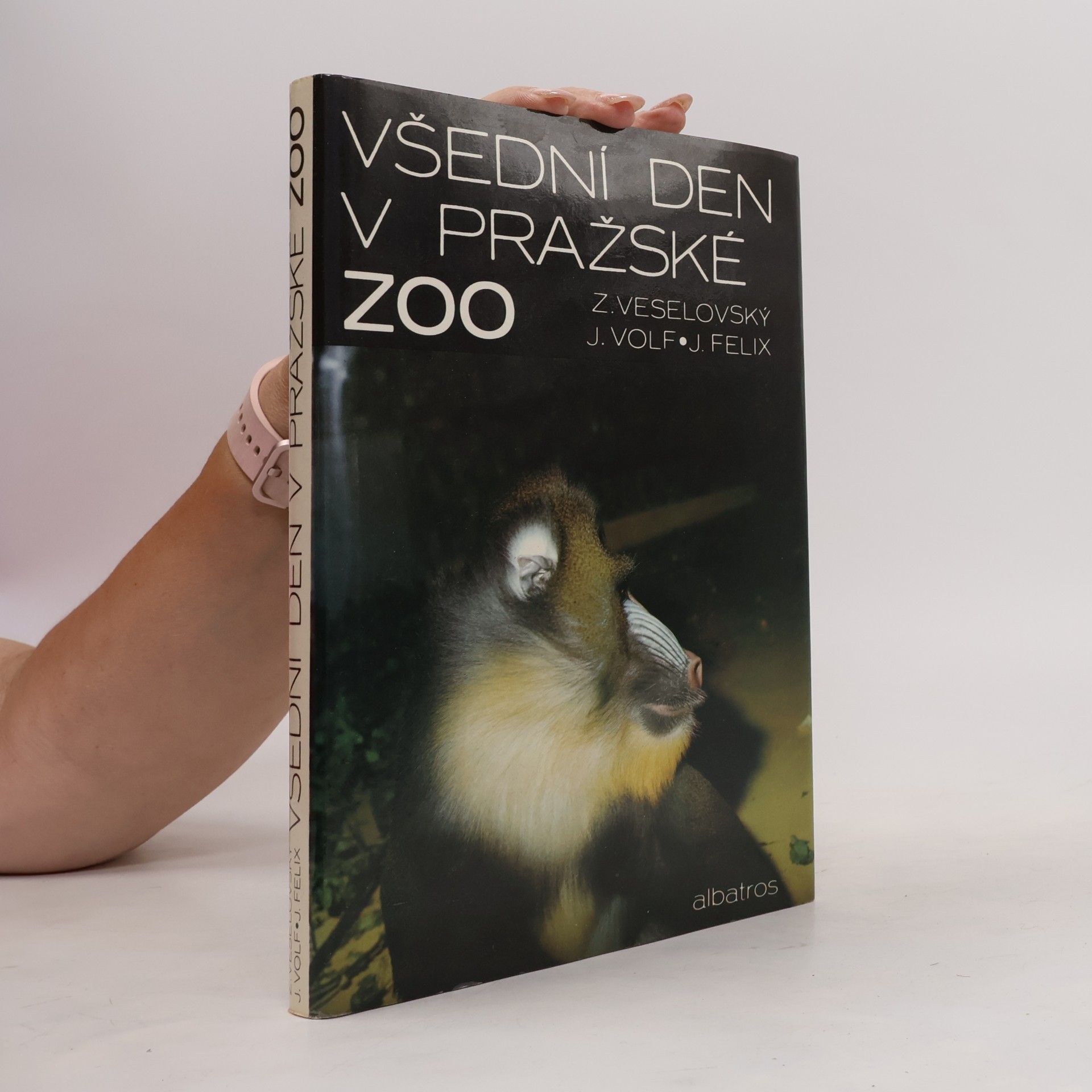 Zdeněk Veselovský Všední den v pražské ZOO