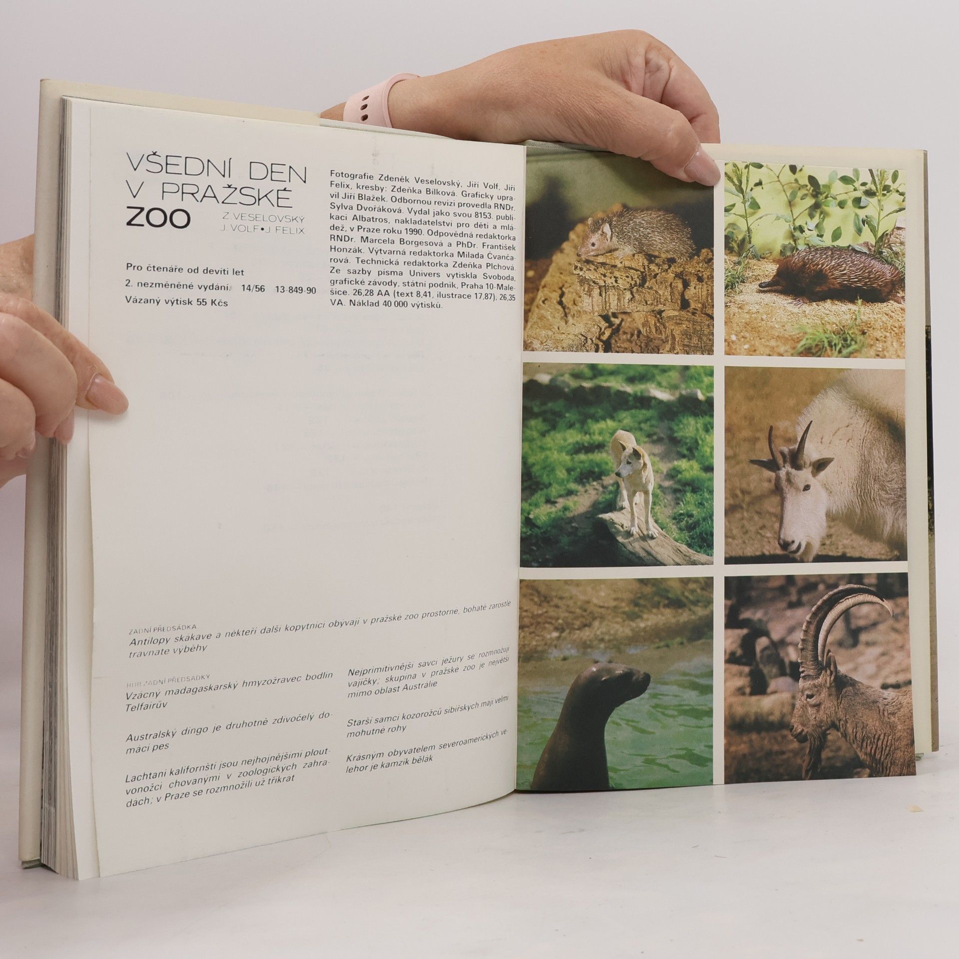 Zdeněk Veselovský Všední den v pražské ZOO