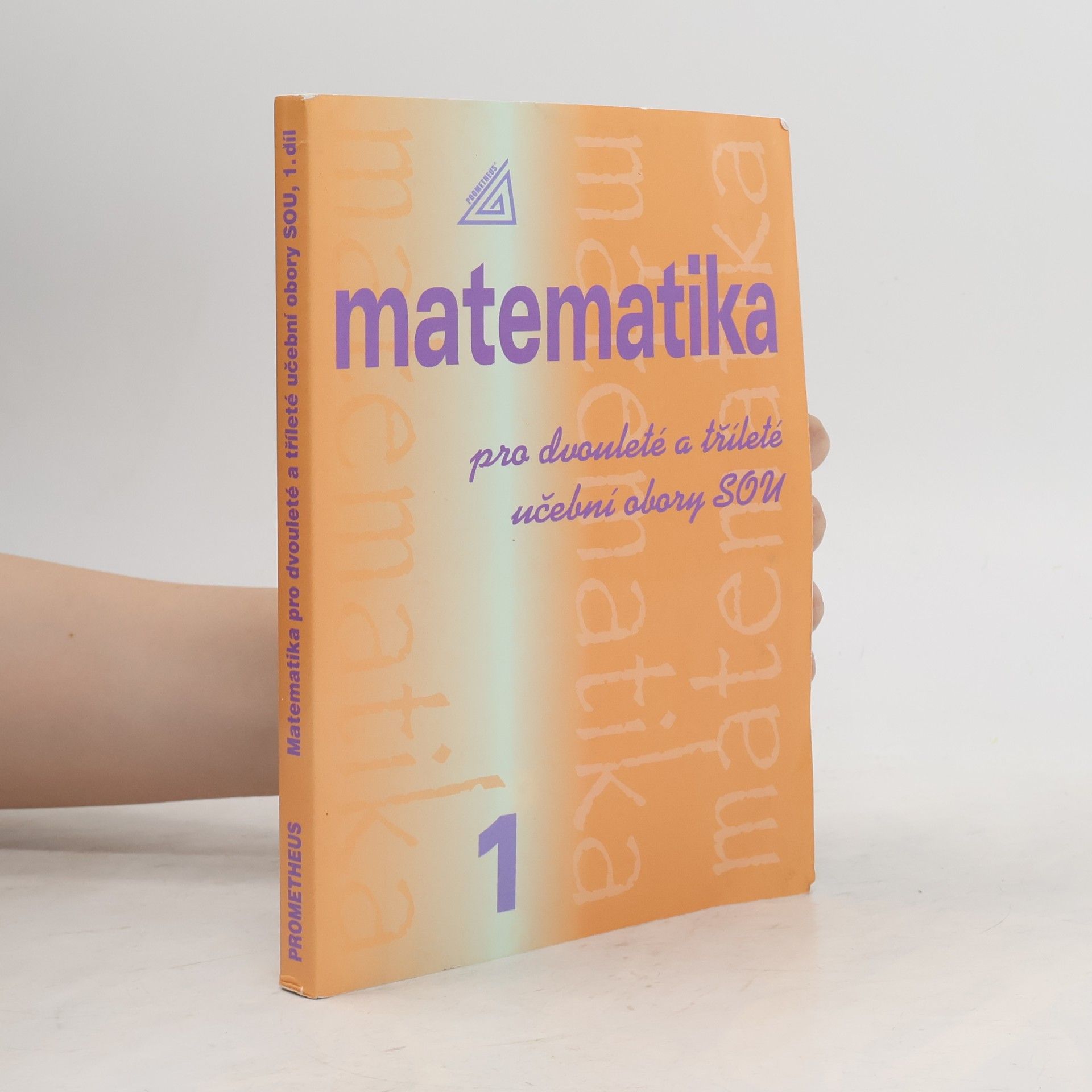Matematika pro dvouleté a tříleté učební obory SOU. 1. díl