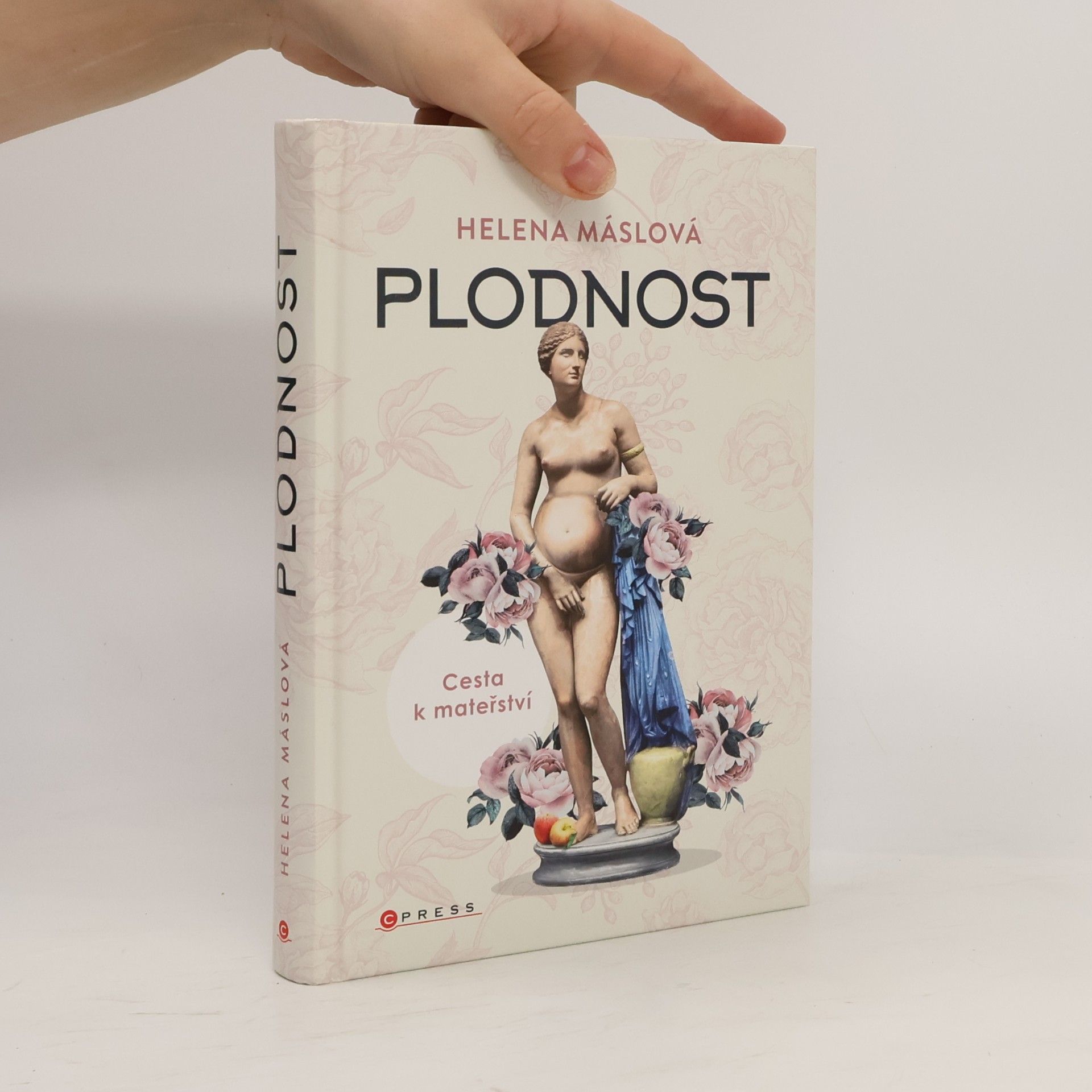 Helena Máslová Plodnost : cesta k mateřství