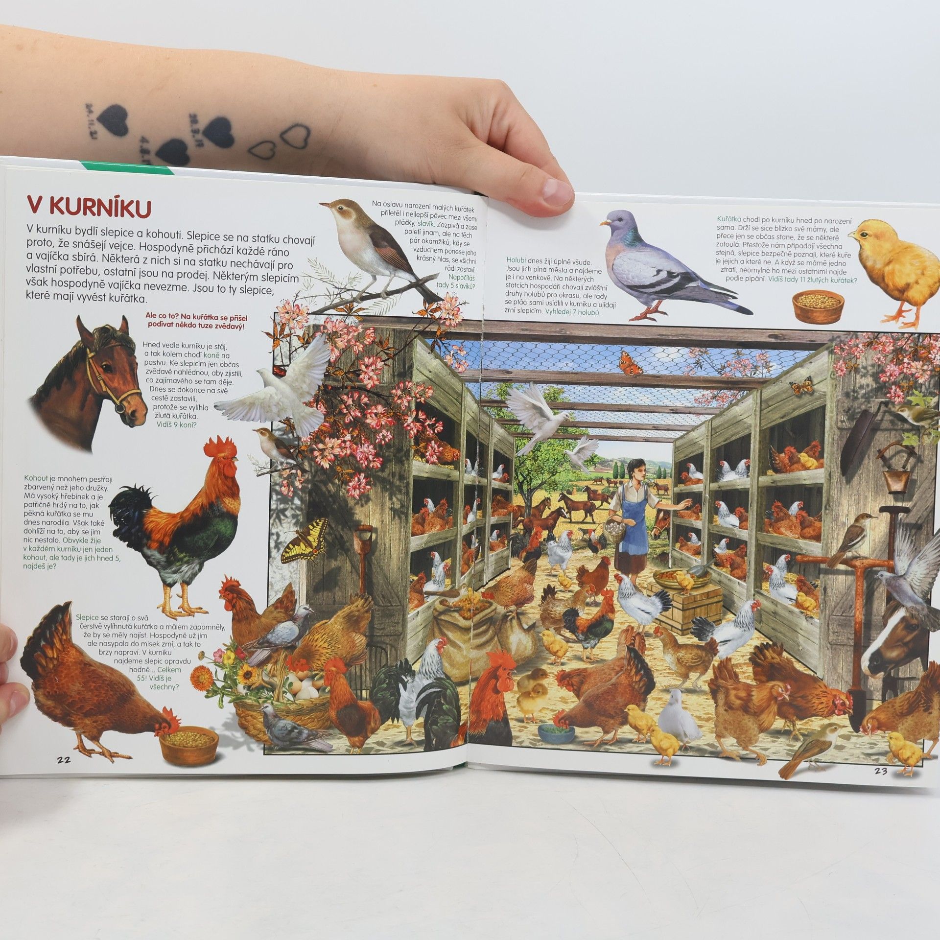 Various authors Zvířata na statku - Hledej a objevuj