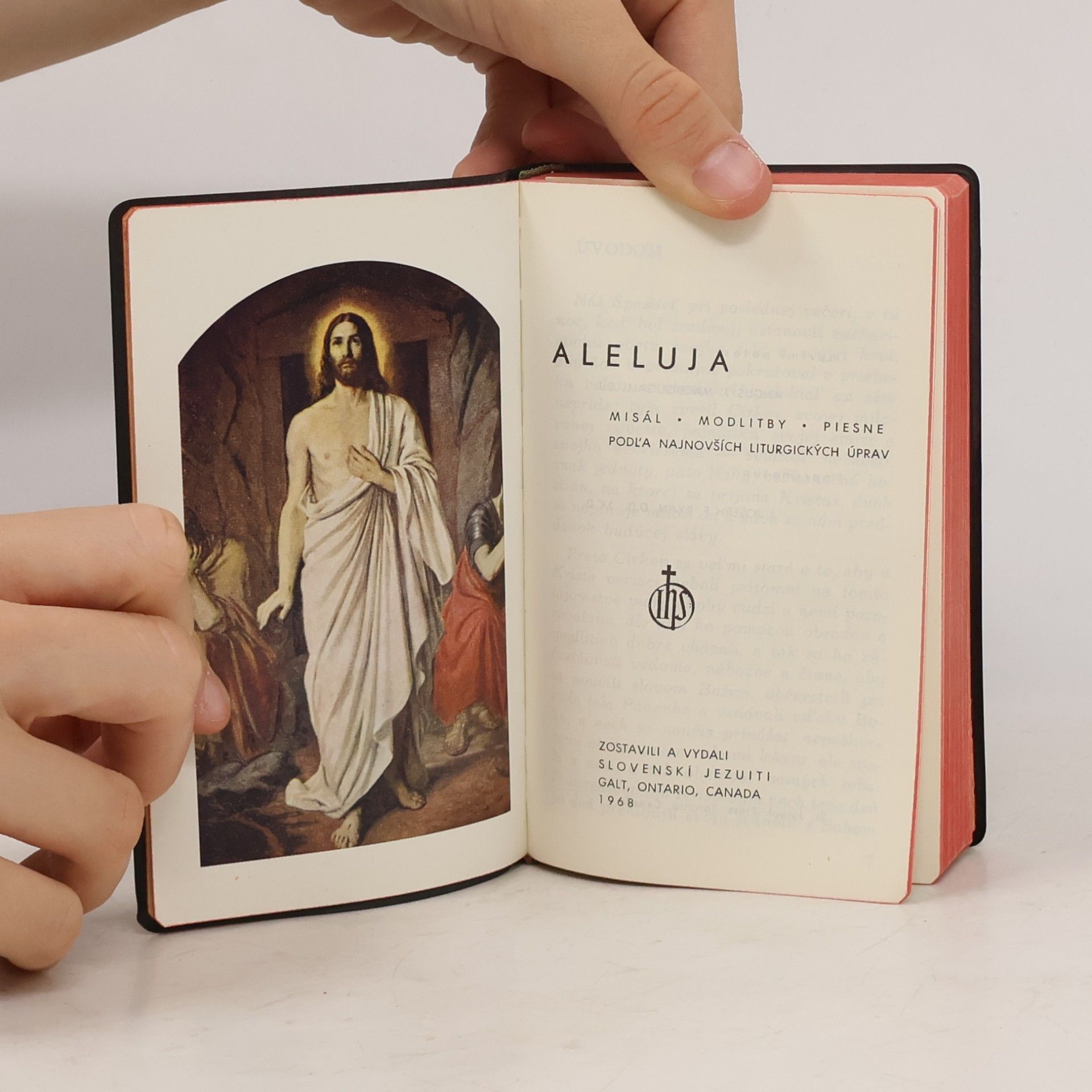 Autorenkollektiv Aleluja