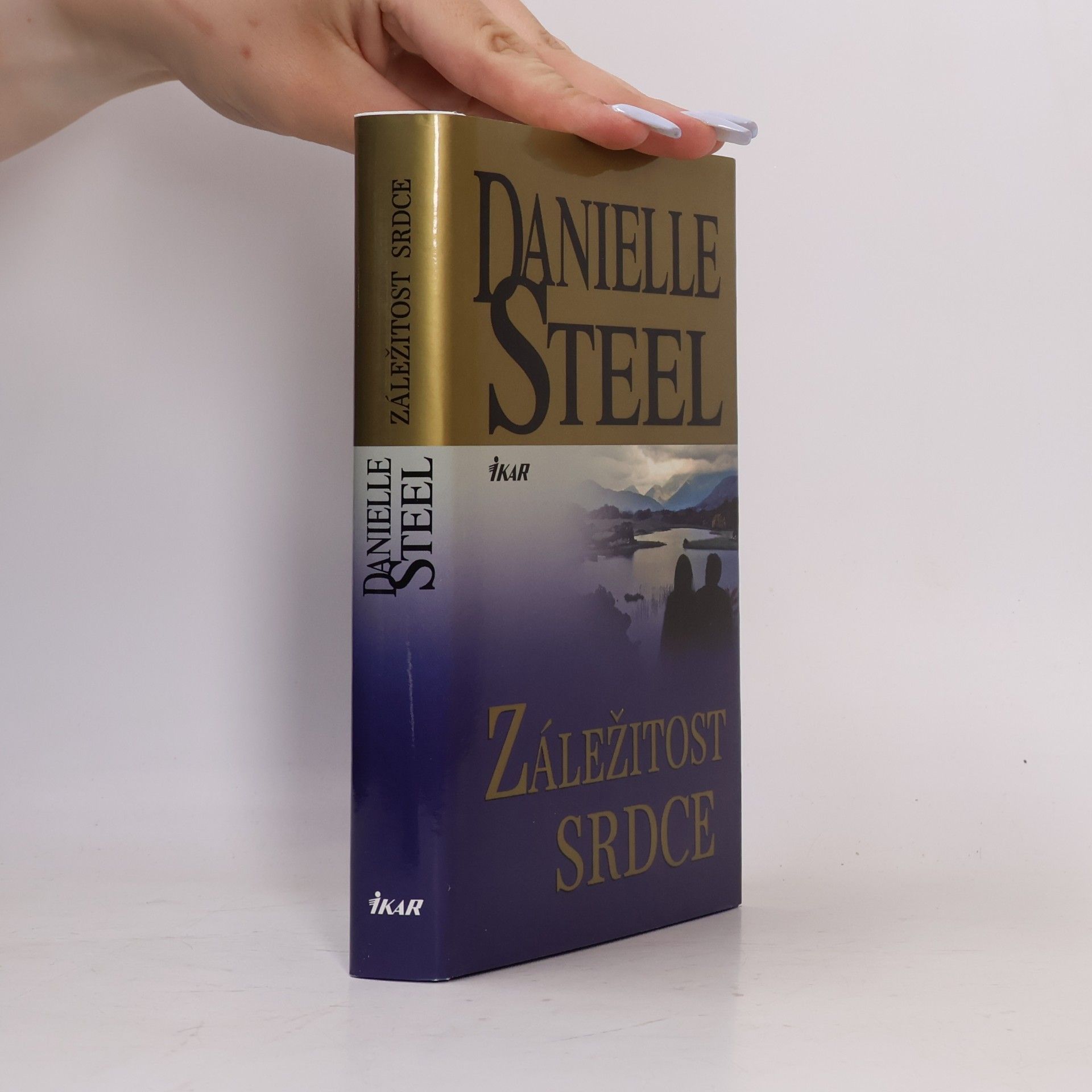 Danielle Steel Záležitost srdce