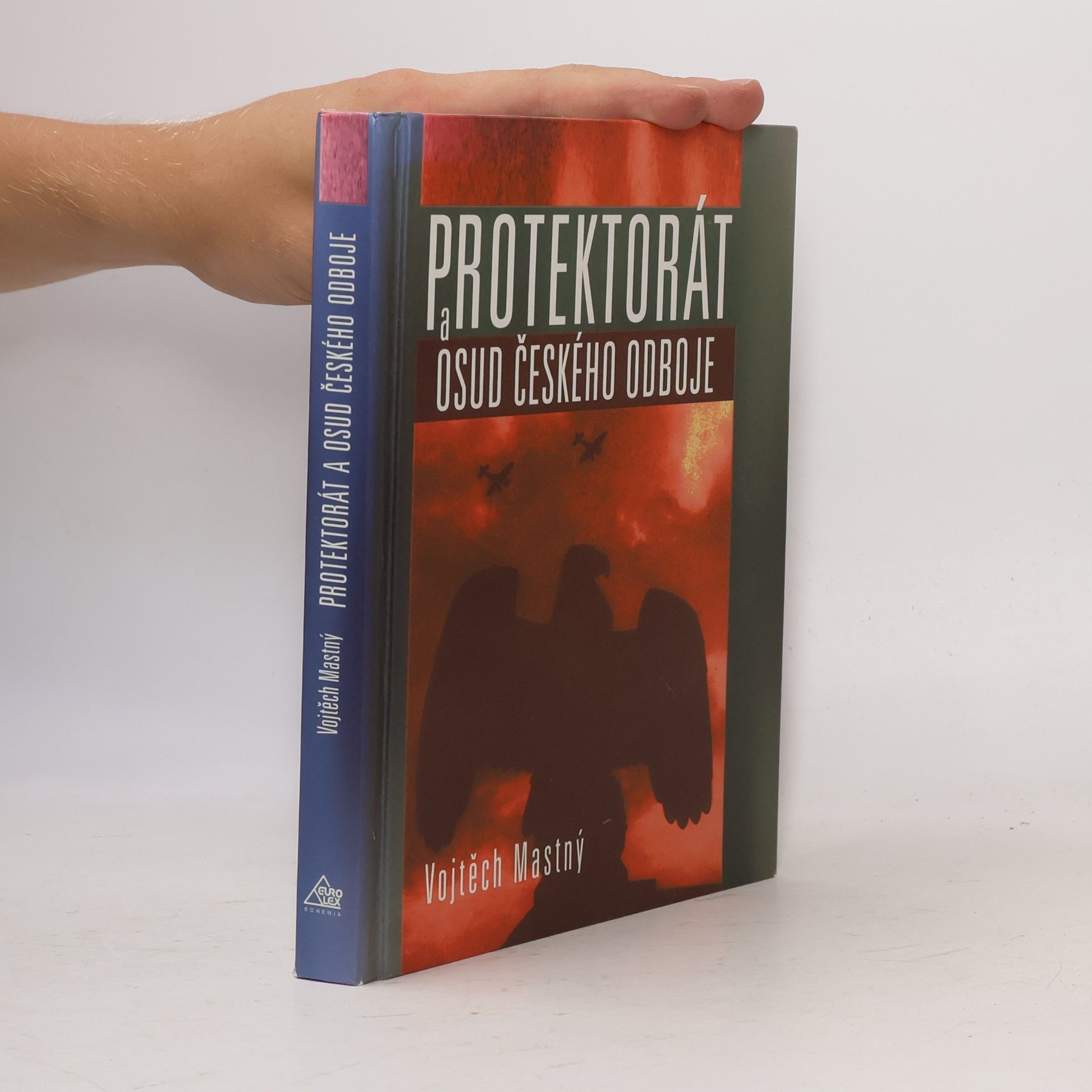Vojtech Mastny Protektorát a osud českého odboje