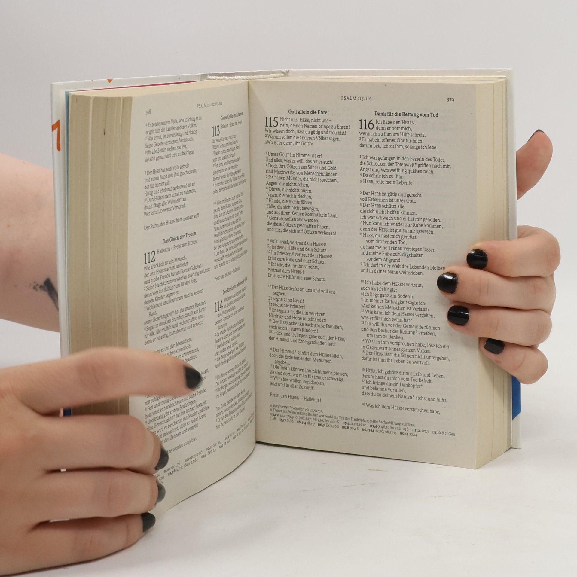 Autorenkollektiv Die Bibel: Gute Nachricht für dich