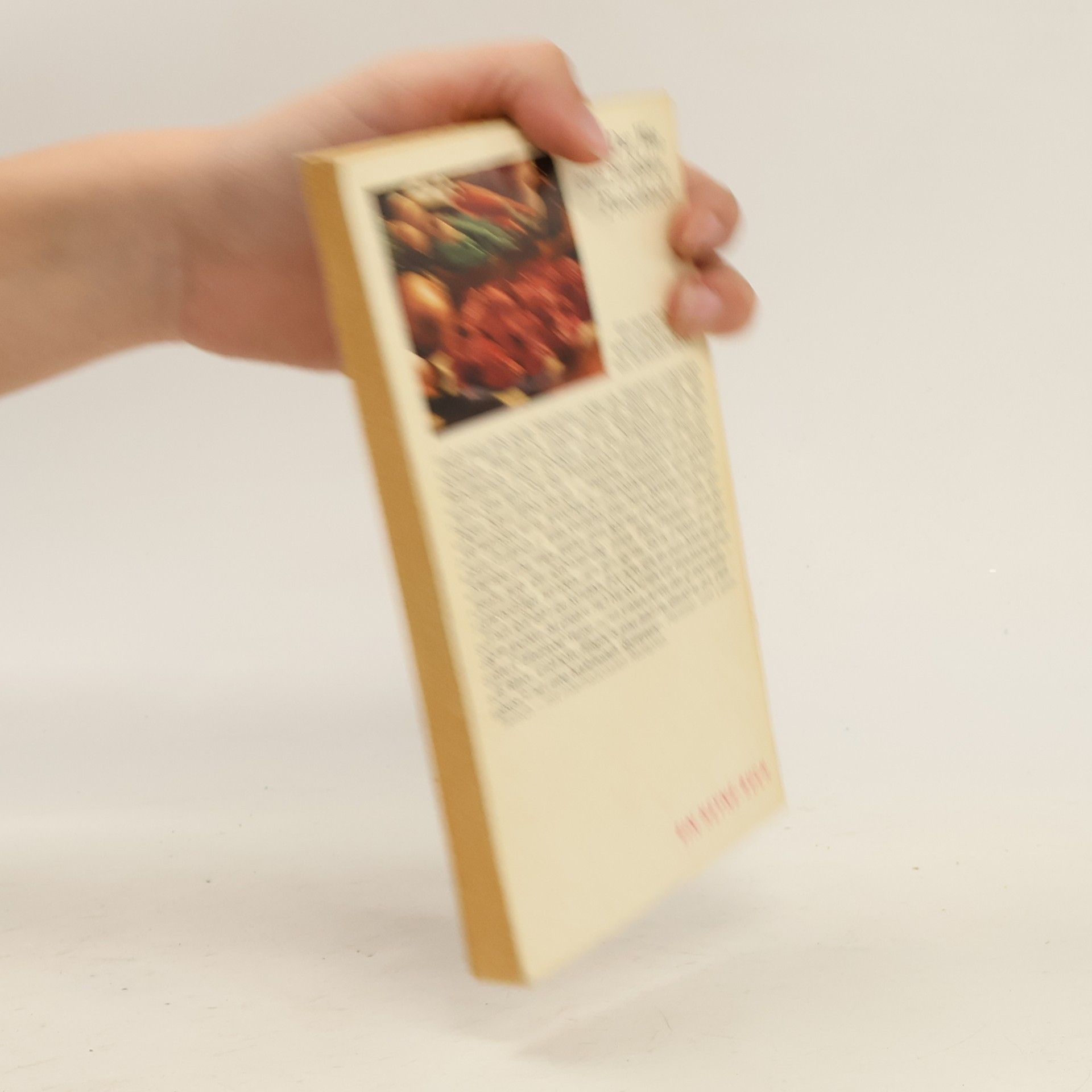 Kolektiv autorů Das Fleisch-Kochbuch