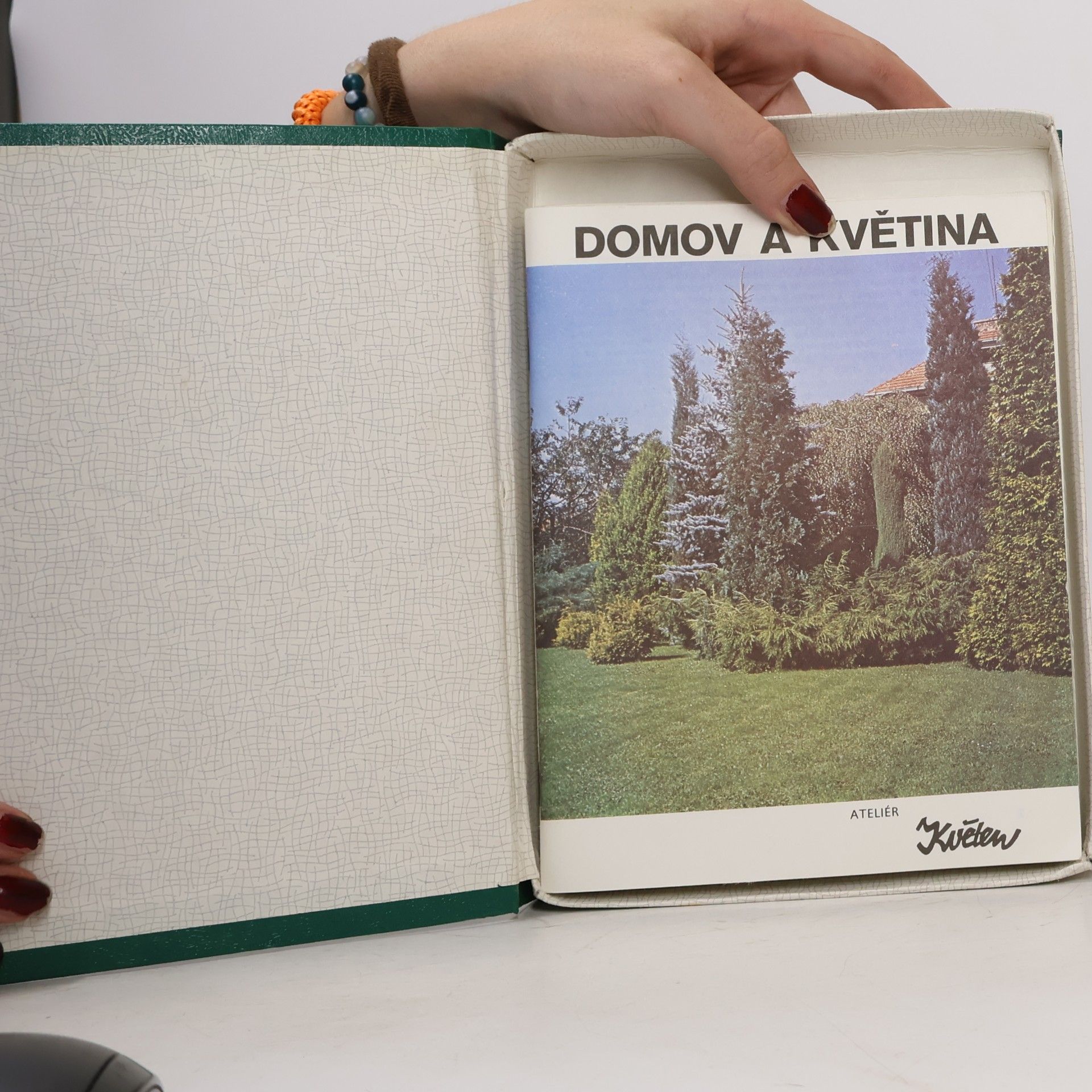 Auteurscollectief Domov a květina